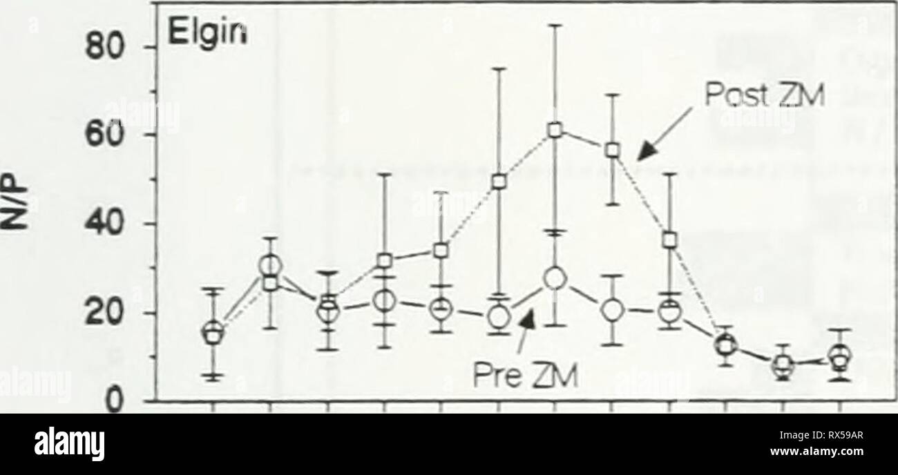 Effects of zebra mussels on Stock Photo - Alamy