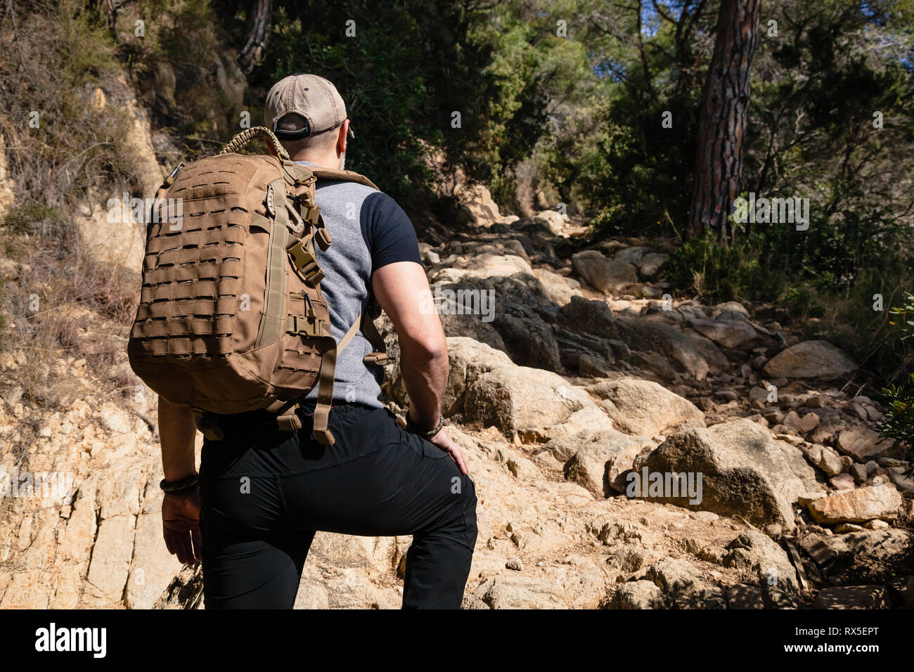 A man with backpack hiking on a path of rocks in a forest with sunlight, back view Stock Photo