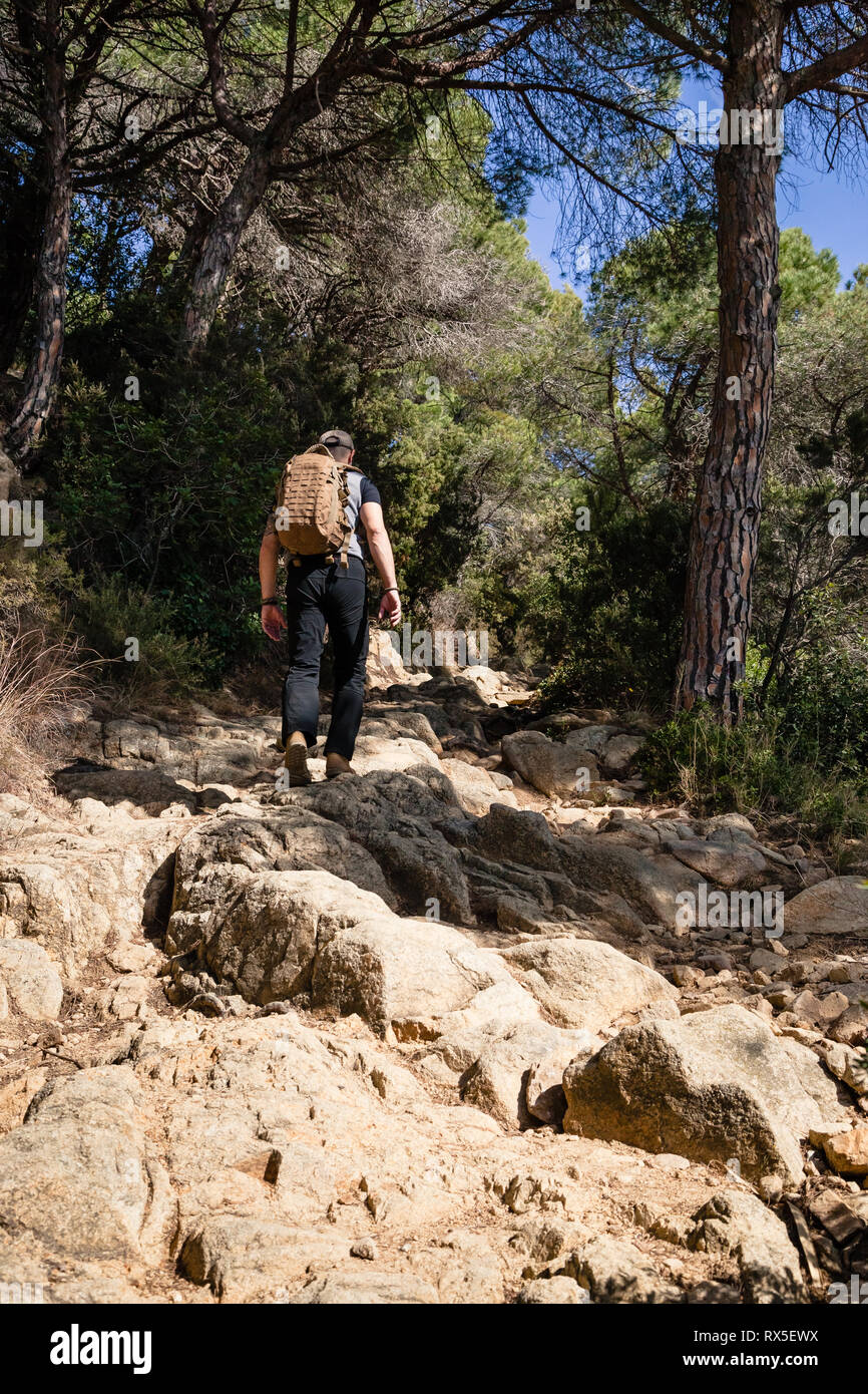 A man with backpack hiking on a path of rocks in a forest with sunlight, back view Stock Photo