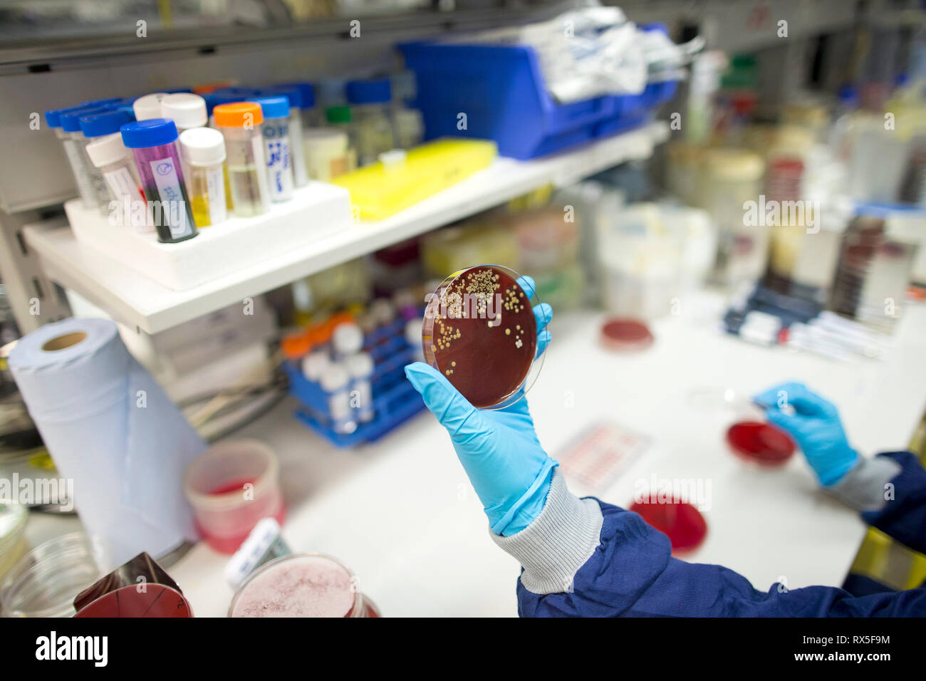 College in London Science Laboratory. November 2014 Stock Photo Alamy