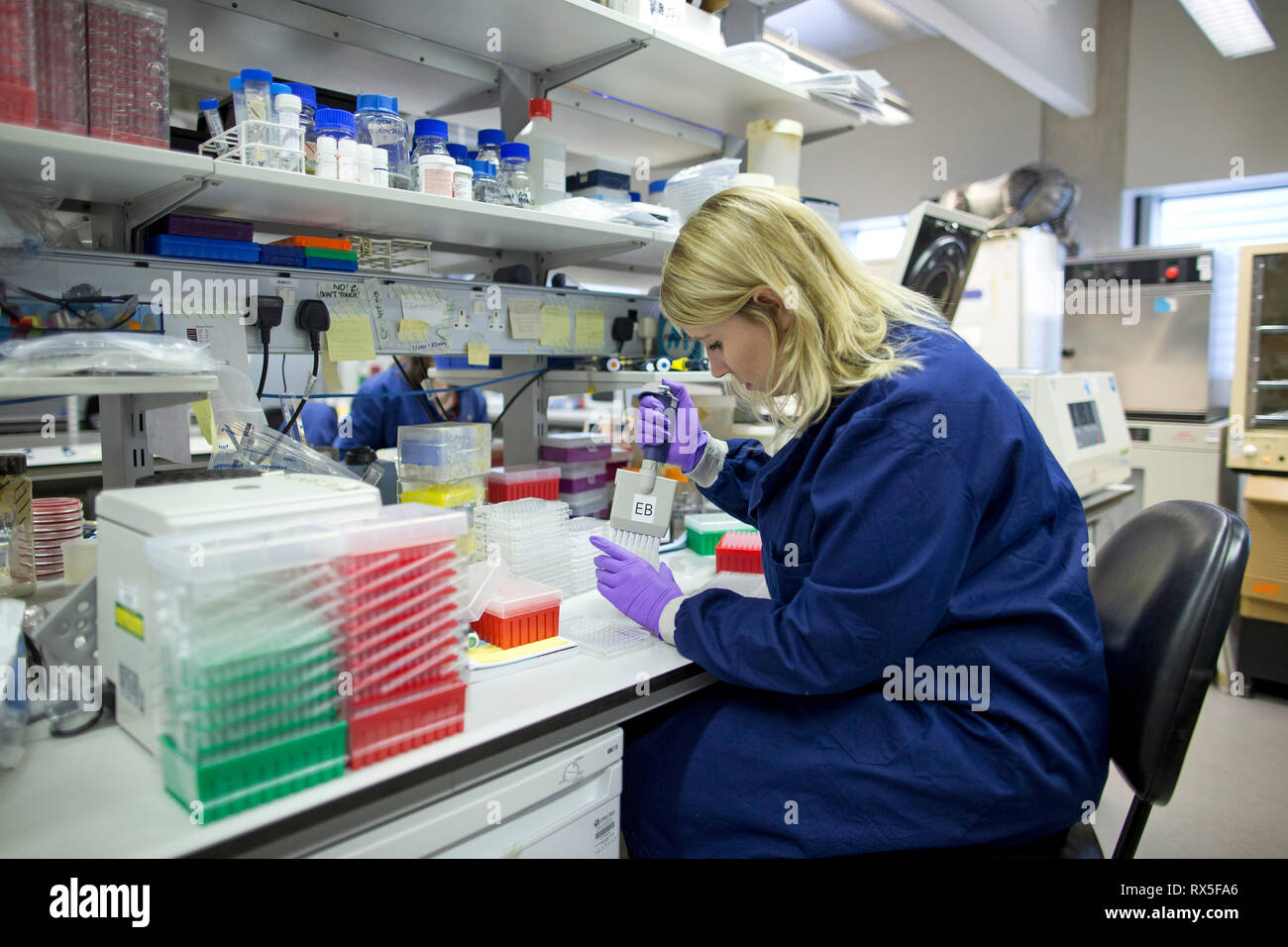 College London Science Laboratory. November 2014 Stock Photo Alamy