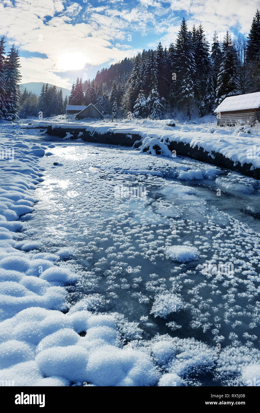 Beautiful winter landscape. Frozen river and green firs covered with ...