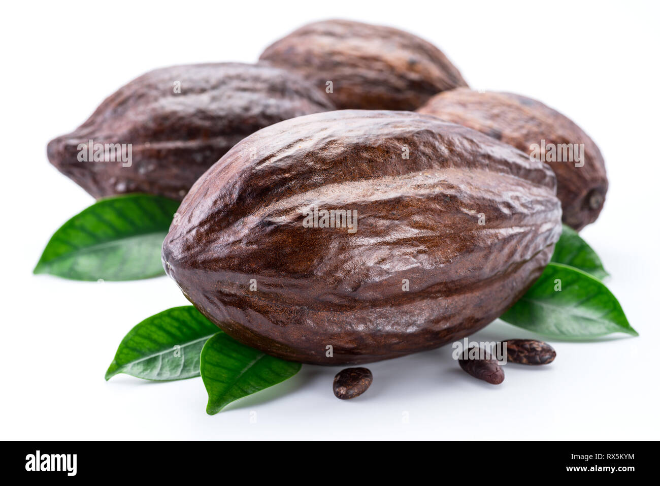 Cocoa pods with cocoa leaves isolated on a white background Stock Photo