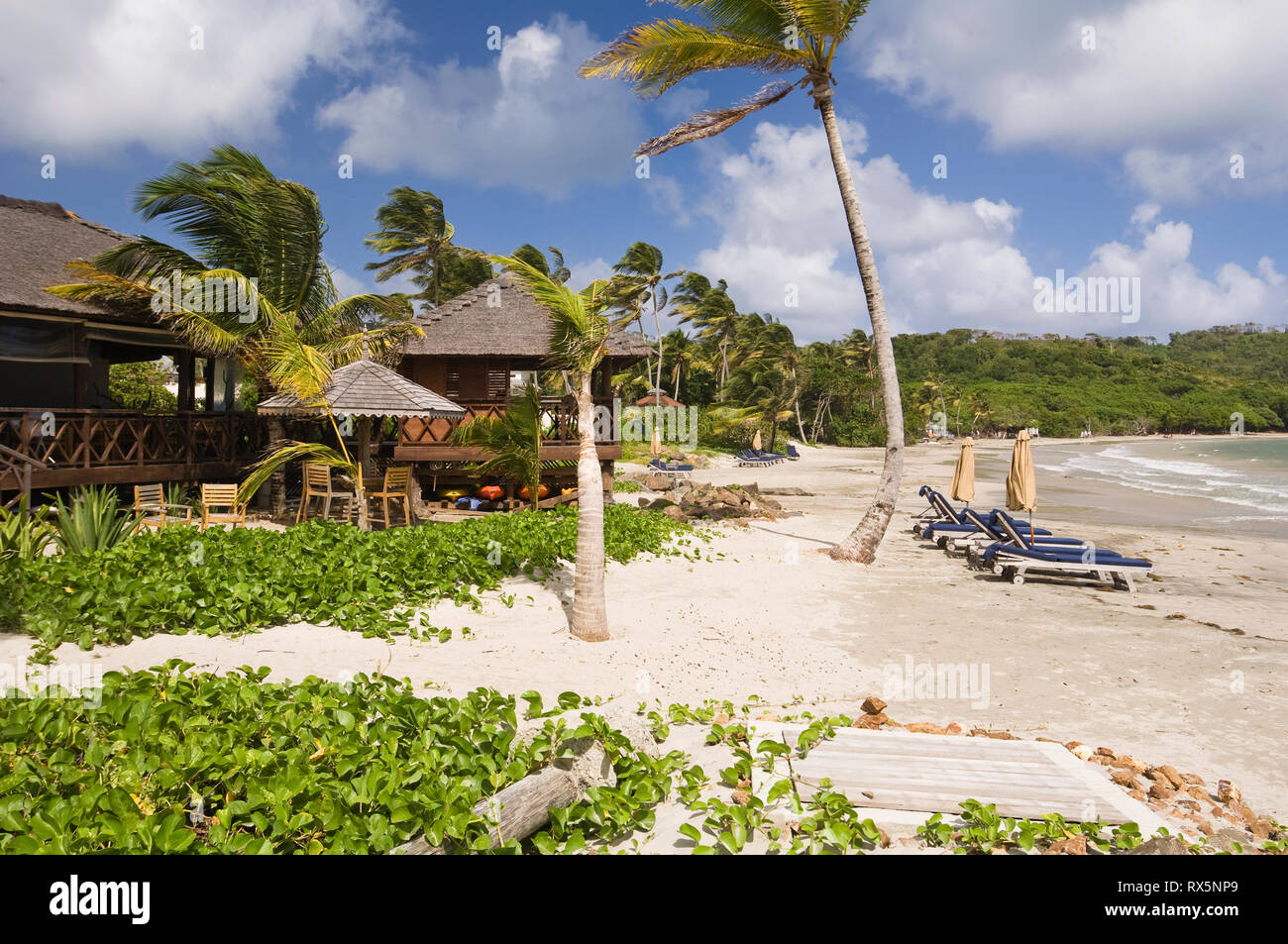 Tropical beach with palm trees hi-res stock photography and images - Alamy