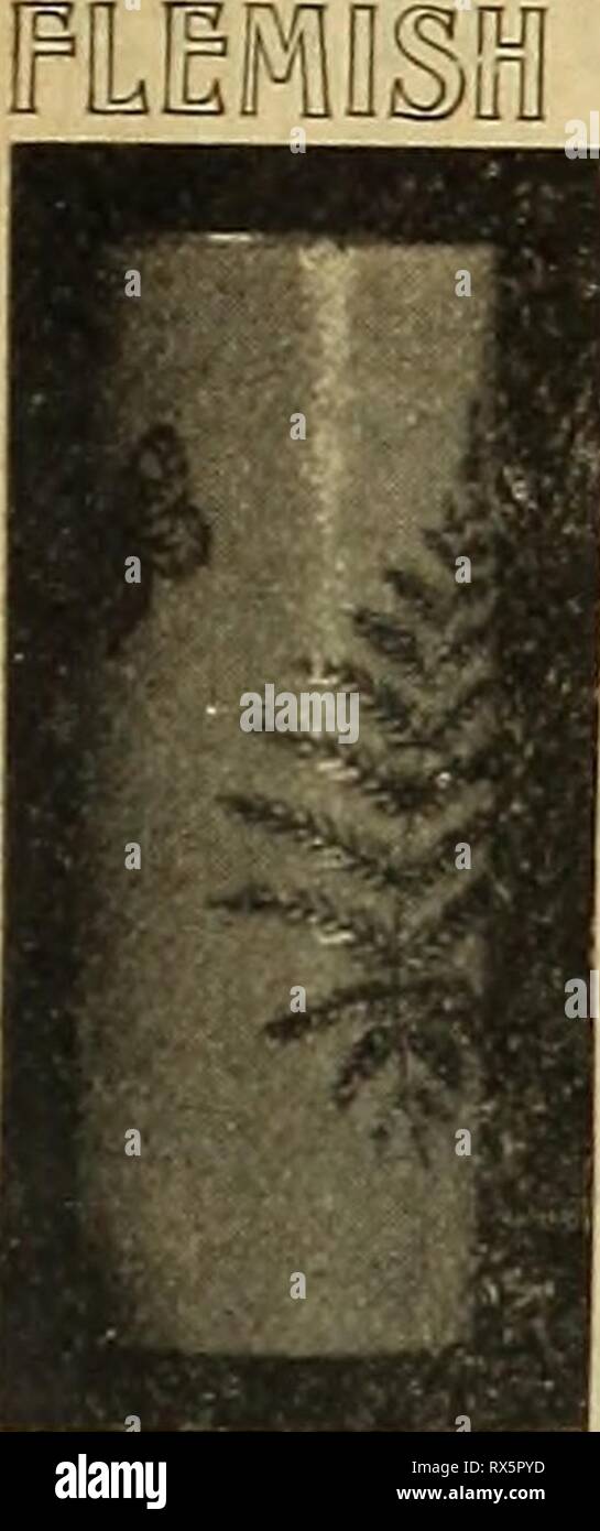 E H Hunt S Catalogue 1895 E H Hunt S Catalogue