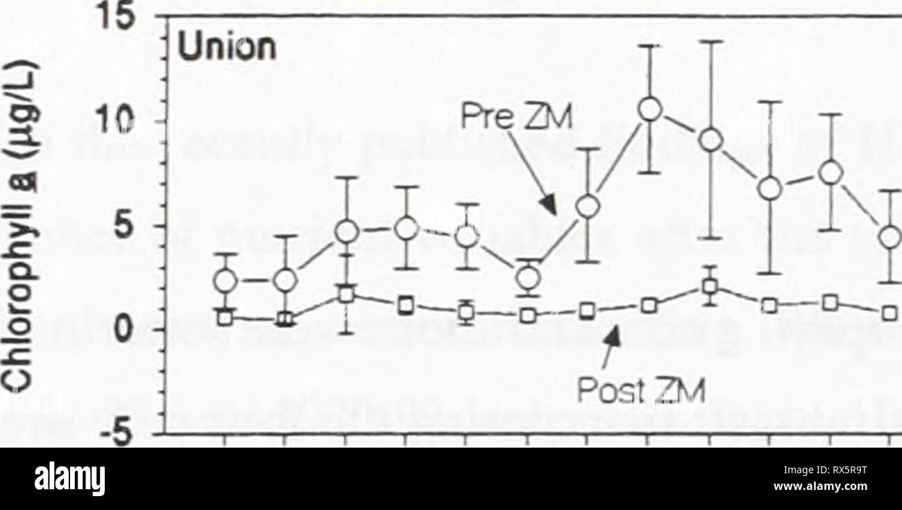 Zebra mussels lake erie hi-res stock photography and images - Alamy