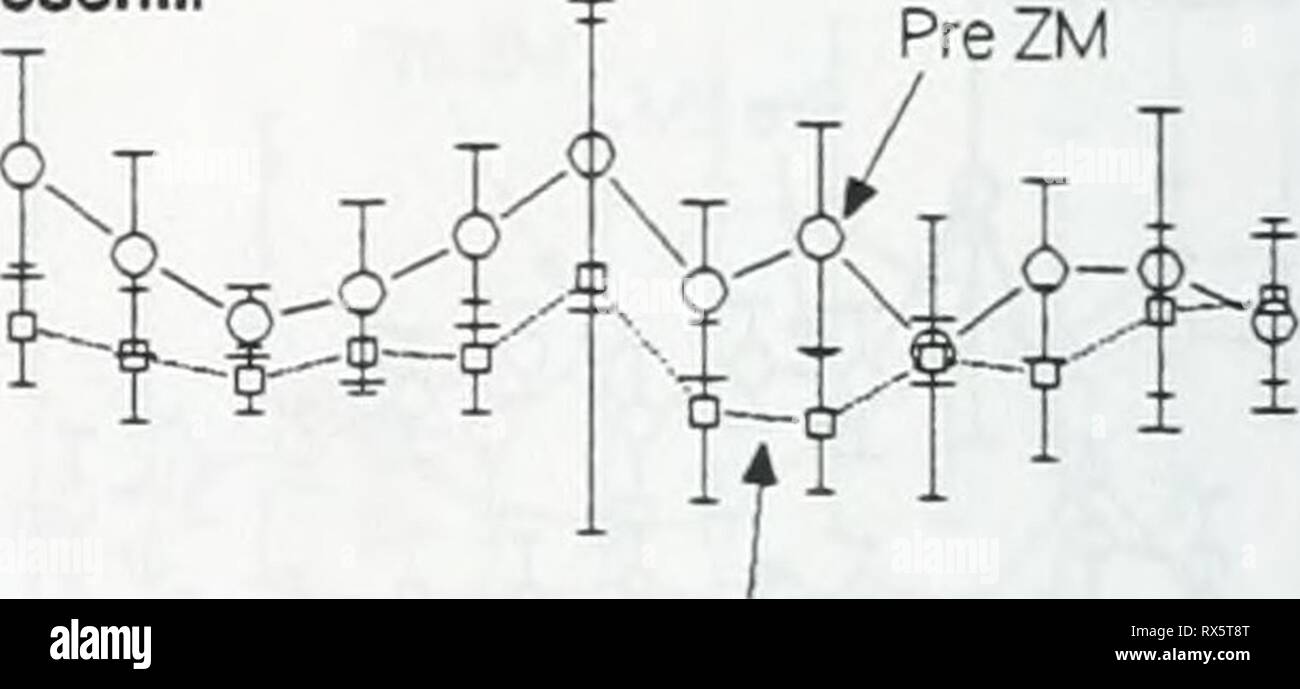 Effects of zebra mussels on Stock Photo - Alamy