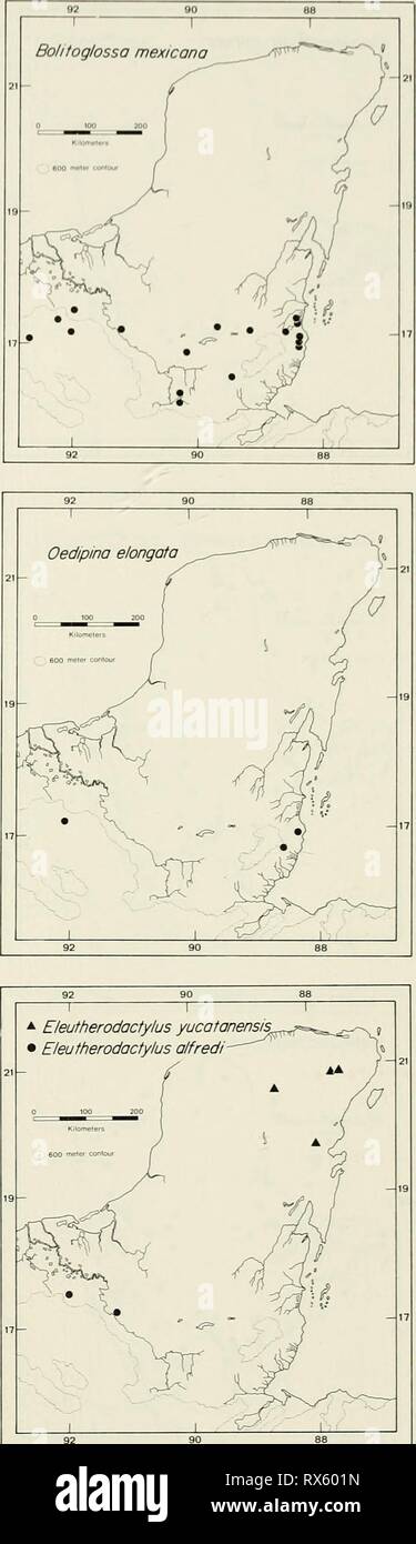 An ecogeographic analysis of the An ecogeographic analysis of the herpetofauna of the Yucatan Peninsula ecogeographicana00leej Year: 1980  Bolitoglossa 1 rufescens 1 T ' Tzl- )  } /. - ^^ / P J - J^V Y / 7^ / ^^^ Â«?kÂ«s S / ^ ^' â â¢ ^ '&gt;'^ U â¢ c^ : â¢.â¢â¢ ^.^   1 1 Rhinophrynus dorsalis 1 --x*   /^ â¢ V Â° â¢*Â» '( /o j â¢  f y^ â¢ /   -f^^^^^'' ' ^ Ij ^zy**^Y ; j^'^WlSJtts 1 -( ' S * ^=W' ;^ 1 â^    PLATE 1 Stock Photo