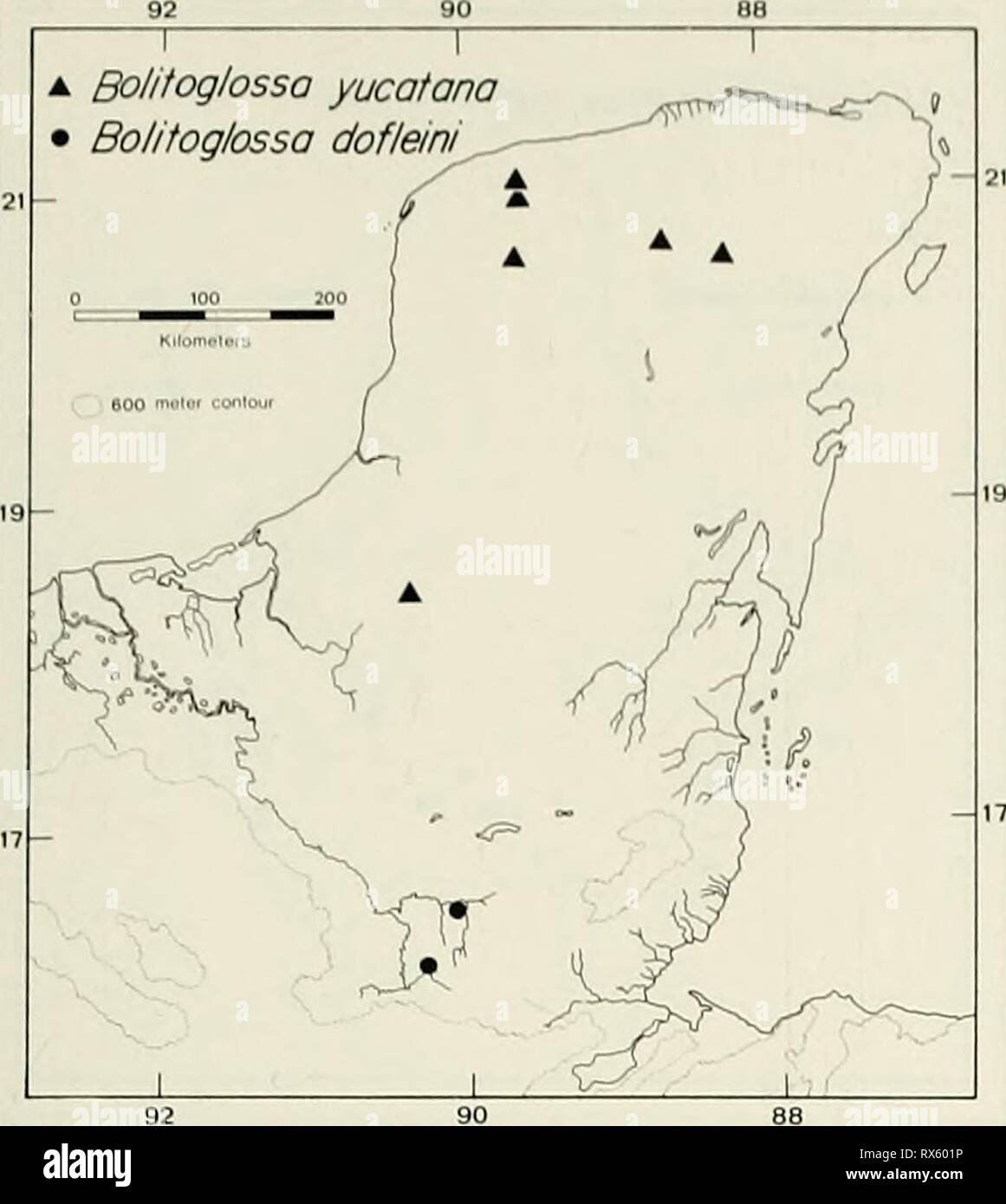 An ecogeographic analysis of the An ecogeographic analysis of the herpetofauna of the Yucatan Peninsula ecogeographicana00leej Year: 1980  YUCATAN HERPETOFAUNA 49 A Bolitoglossa yucatana â¢ Bolitoglossa dofleini     Bolitoglossa 1 rufescens 1 T ' Tzl- )  } /. - ^^ / P J - J^V Y / 7^ / ^^^ Â«?kÂ«s S / ^ ^' â â¢ ^ '&gt;'^ U â¢ c^ : â¢.â¢â¢ ^.^   1 1 Rhinophrynus dorsalis 1 --x*   /^ â¢ V Â° â¢*Â» '( /o j â¢  f y^ â¢ /   -f^^^^^'' ' ^ Ij ^zy**^Y ; j^'^WlSJtts 1 -( ' S * ^=W' ;^ 1 â^  Stock Photo