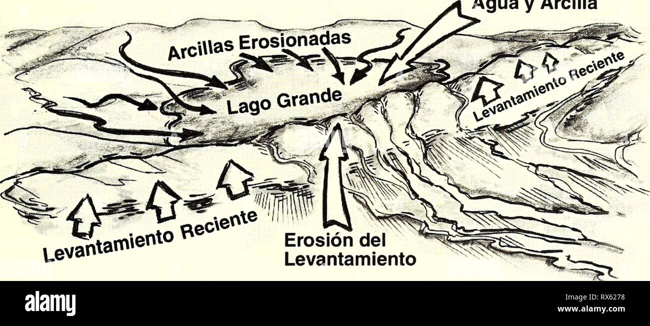 Ecuador, Perú  Cuyabeno-Güeppí (2008) Ecuador, Perú : Cuyabeno-Güeppí ecuadorpercuyab202008alve Year: 2008  Fig. 16. Formación hipotética del complejo lacustre de Lagartococlia. Un levantamiento geológico formó una represa natural, detrás de la cual erosionaron las arcillas de regiones de cabeceras que fueron depositadas. Con el paso del tiempo, la represa natural se erosionó, permitiendo que el lago y sus recientemente erosionadas arcillas fluyan aguas abajo, eventualmente redepositándose para formar el complejo lacustre de Lagartococha. Represamlento Natural del Río Acumulación de Agua y Arc Stock Photo