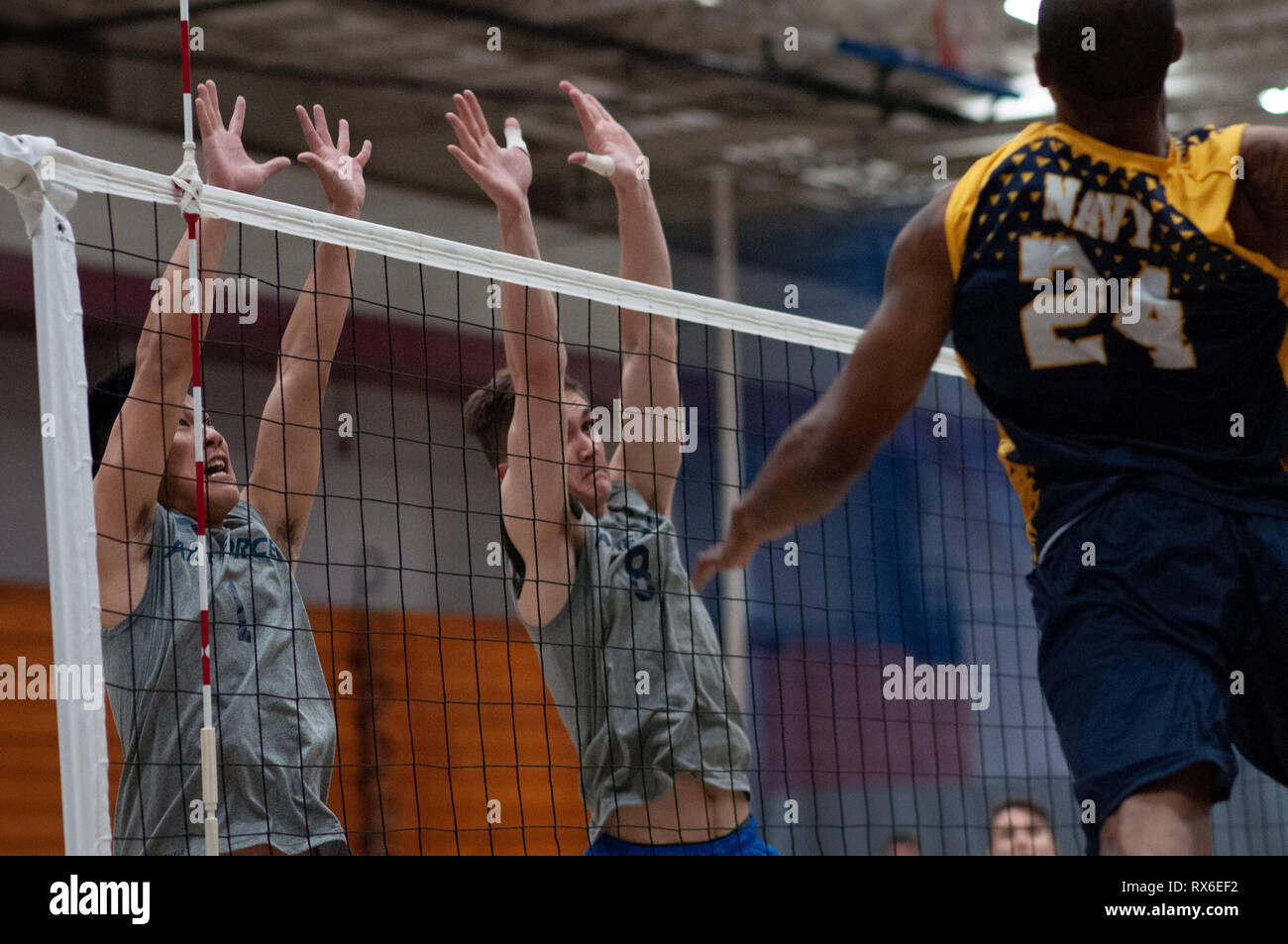 Fort Bragg, North Carolina, USA. 8th Mar, 2019. March 8, 2019 - Fort Bragg, N.C., USA - All-Air Force Men's Volleyball 1st Lt. Kekaiku'imauloa Nu'uhiwa (1) and Senior Airman Anthony Clowers (8) try to block a slam from All-Navy Men's Volleyball Petty Officer 1st Class Sheldon Lucius (24) during the final match between the U.S. Air Force and U.S. Navy at the 2019 Armed Forces Men's Volleyball Championship at Ritz-Epps Gym on Fort Bragg. Air Force defeated Navy, 3-2, winning gold in the three-day round-robin tournament. The Armed Forces Men's and Women's Volleyball Championships are held annu Stock Photo