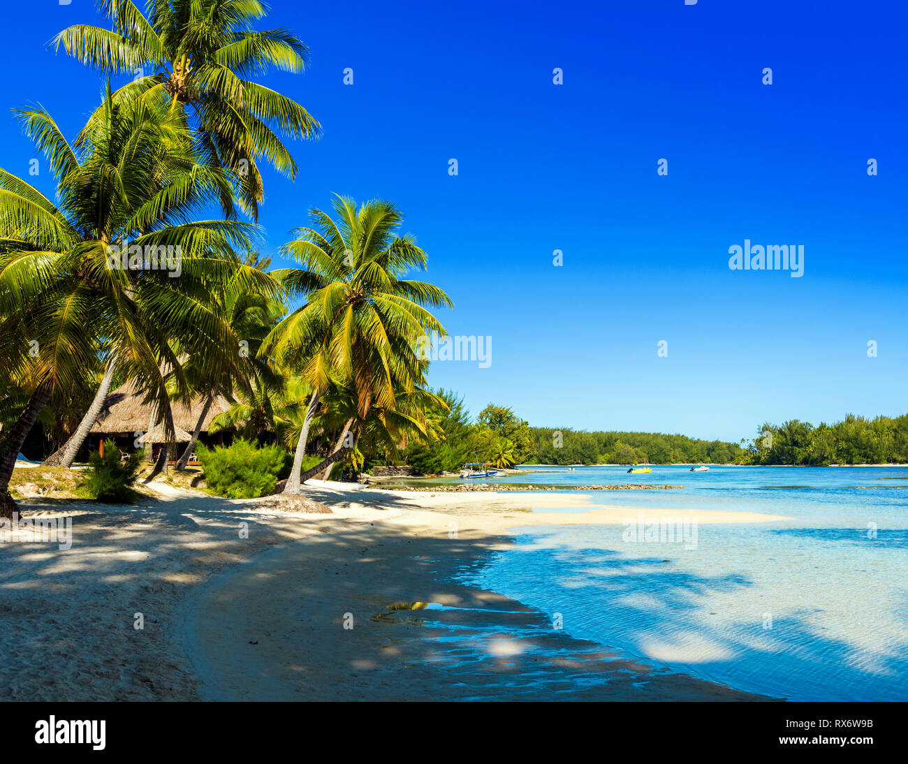 View Of The Sandy Beach Moorea Island French Polynesia Copy Space For Text Stock Photo Alamy