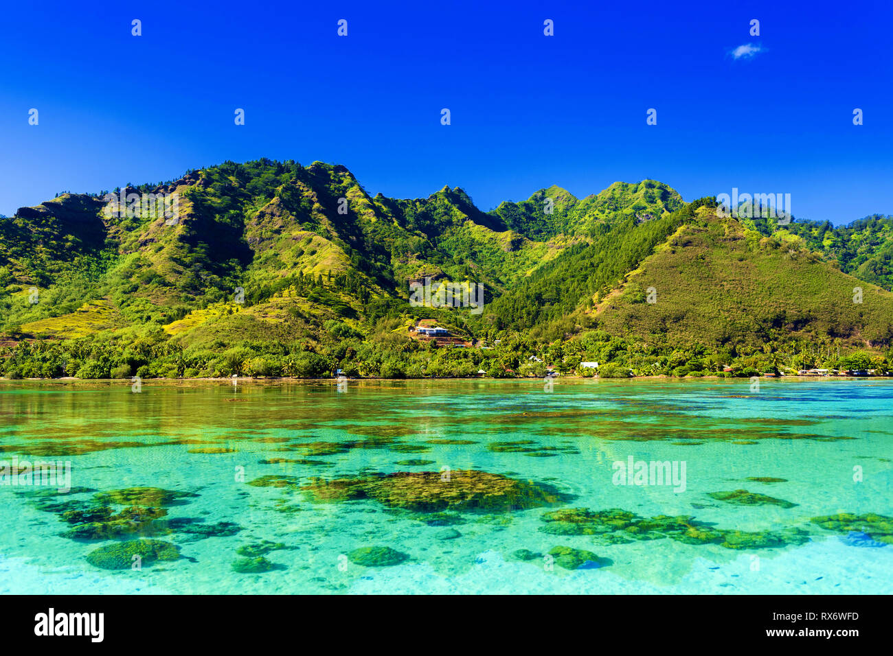 View of the mountain landscape, Moorea island, French Polynesia. Copy space for text Stock Photo