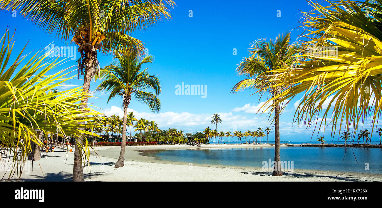 The Round Beach at Matheson Hammock County Park Miami Florida Stock