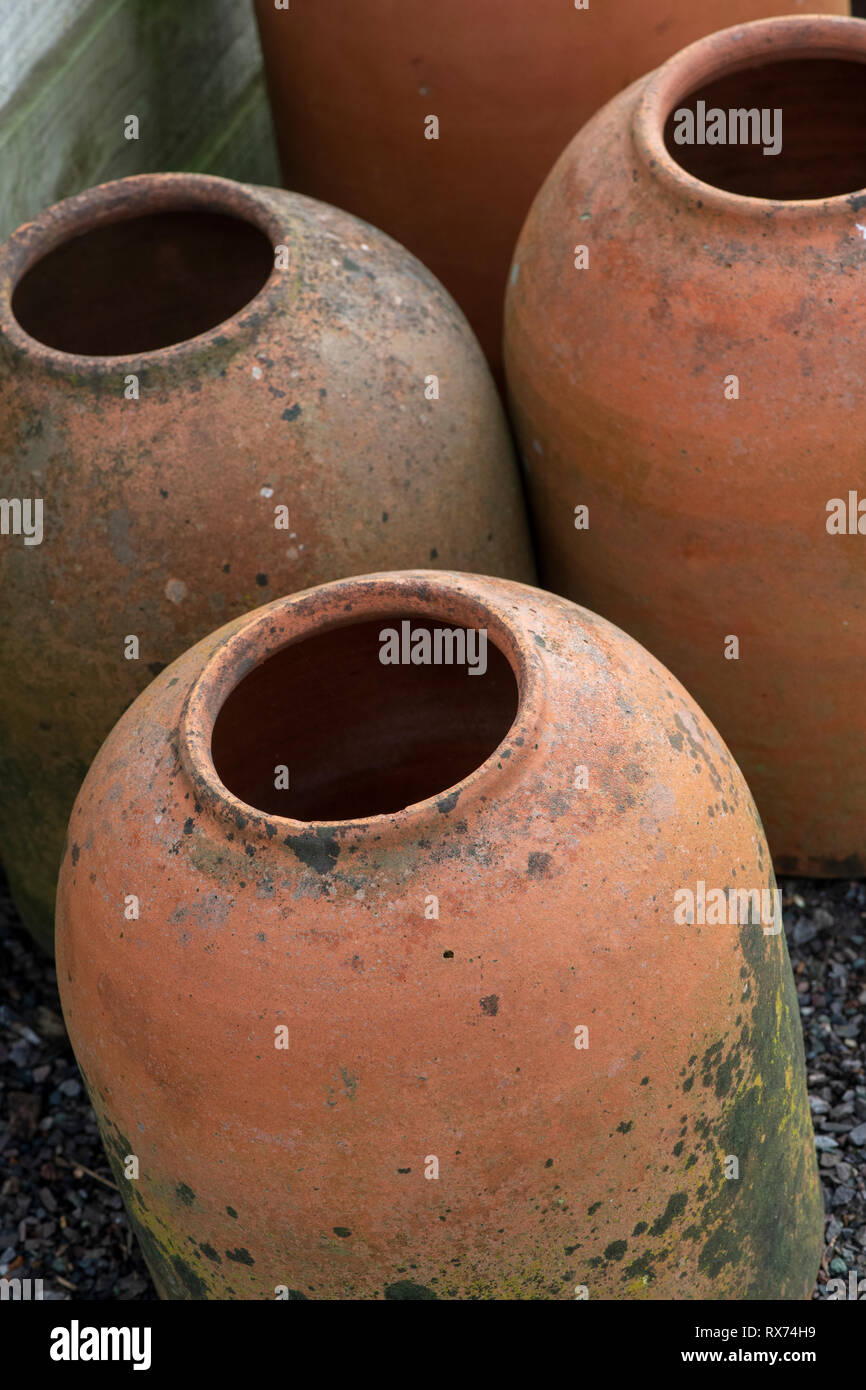 Terracotta forcer for growing rhubarb in a vegetable garden. UK Stock