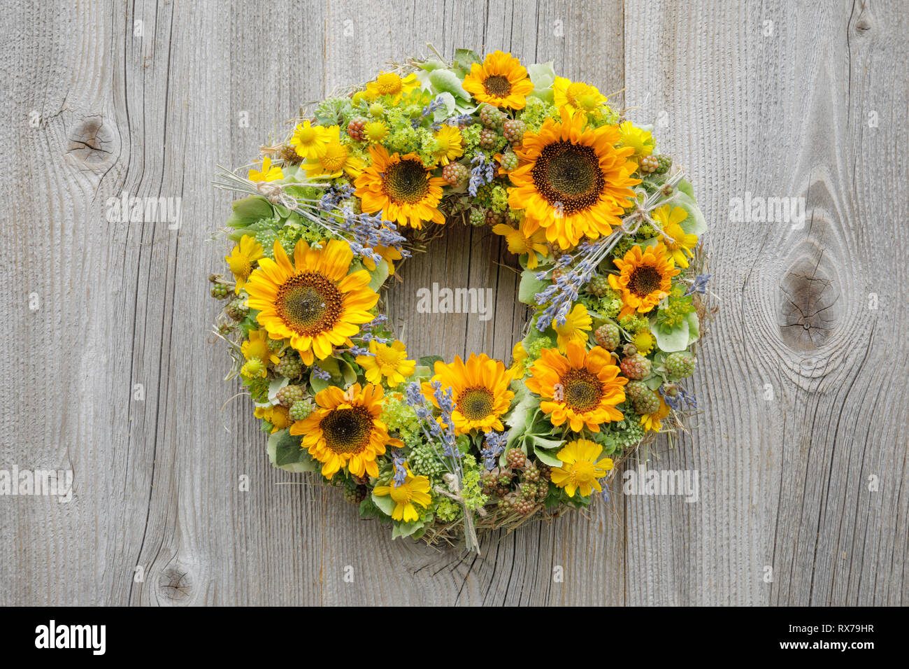 botany, sunflower, wreath decoration, No-Folded-Card or Greeting-Card ...