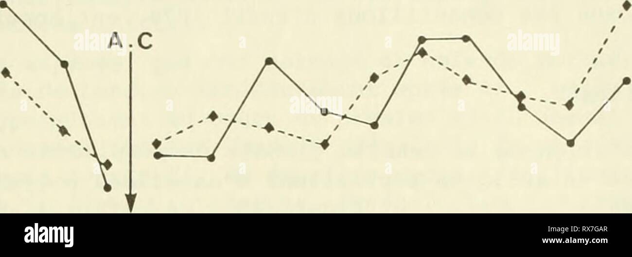 Ecological study of the Amoco Ecological study of the Amoco Cadiz oil spill : report of the NOAA-CNEXO Joint Scientific Commission ecologicalstudyo00noaa Year: 1982  -&lt;—avant N.especes 100 1°Cycle- ►-«-20Cycle 50 -3uCycle- n. individus • . N   T—i—I—r— A O Dl 'T 1977 'j' 'a' 'o' 'dI V 'A' 'J' 'a'o' 'Ol V 'A' 'J' 1978 1979 1980 1000 500 Figure 3 - Peuplement des sables grossiers a Venus fasciata - Amphioxus lanceotatus : evolution de la richesse specifique des releves et du nombre d'individus (10 prelevements a la benne Hamon) d'aout 1977 a aout 1980 (A.C. : debut de la pollution par les hyd Stock Photo