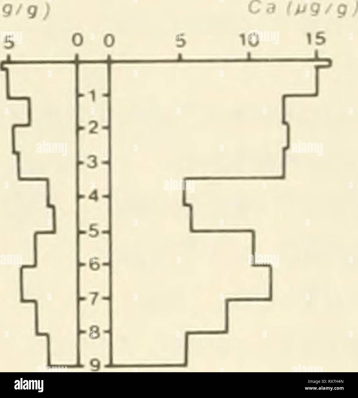 Gazel High Resolution Stock Photography And Images Alamy