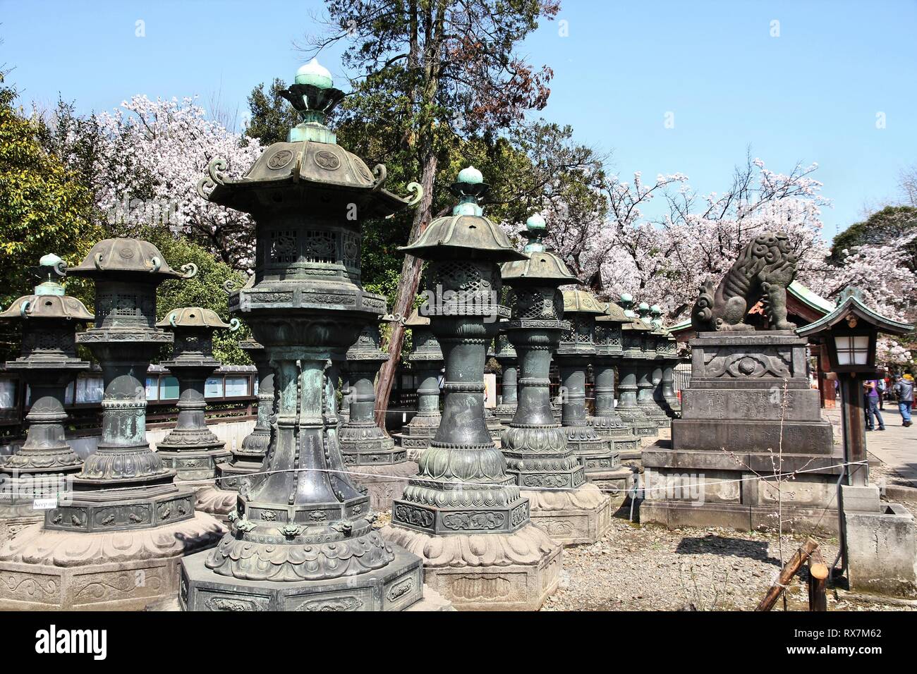 Tokyo, Japan copper lanterns of Toshogu shrine in Ueno park Stock Photo Alamy