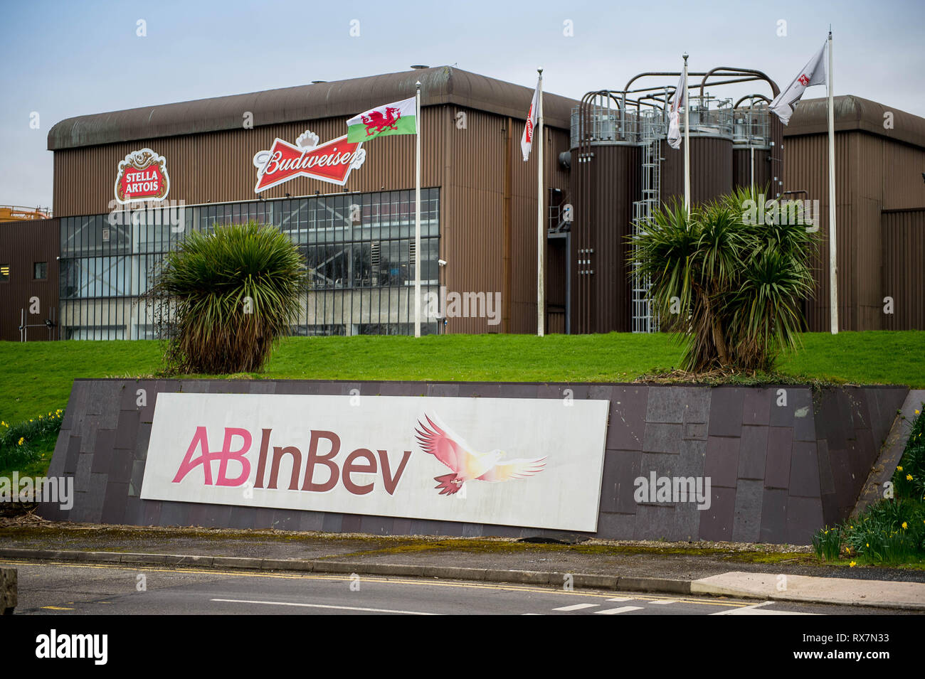 Magor budweiser hires stock photography and images Alamy