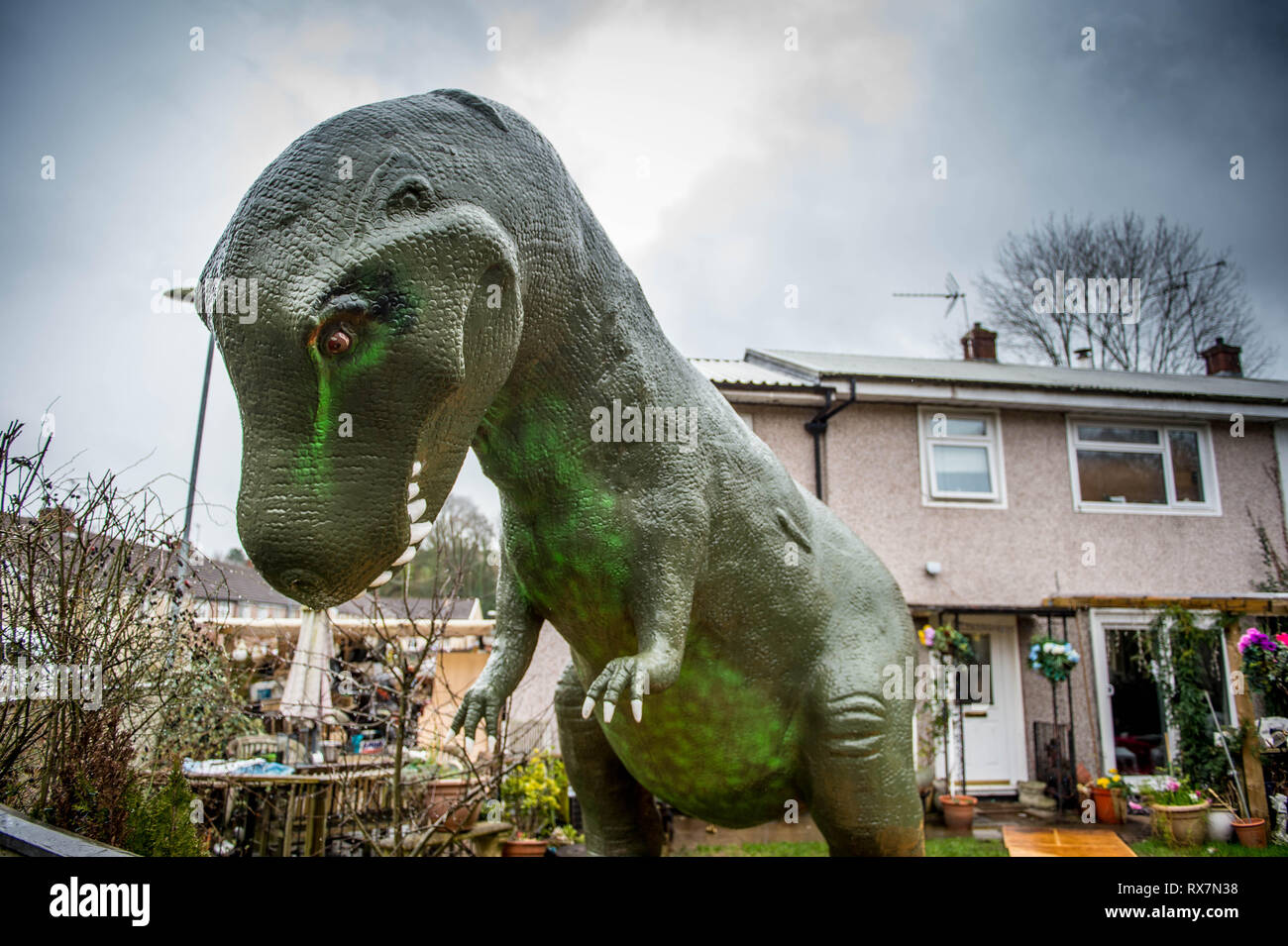 The Dinosaur House