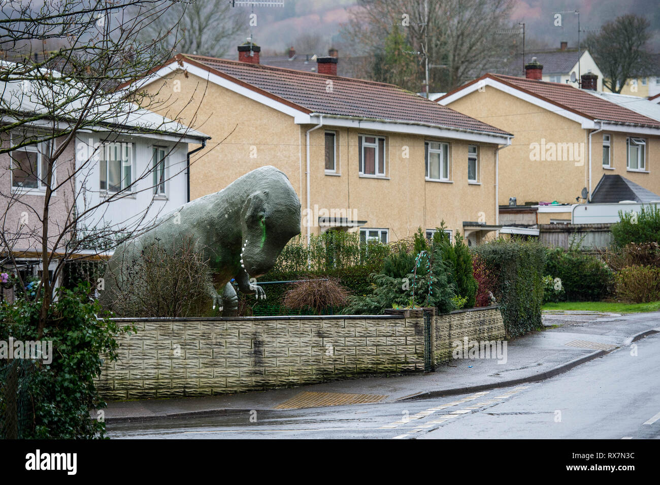 Friday  08 March 2019  Pictured: Alun the dinosaur outside the house in Cwmbran Re: Alun the allosaurus has found a new home in a Cwmbran garden. The  Stock Photo