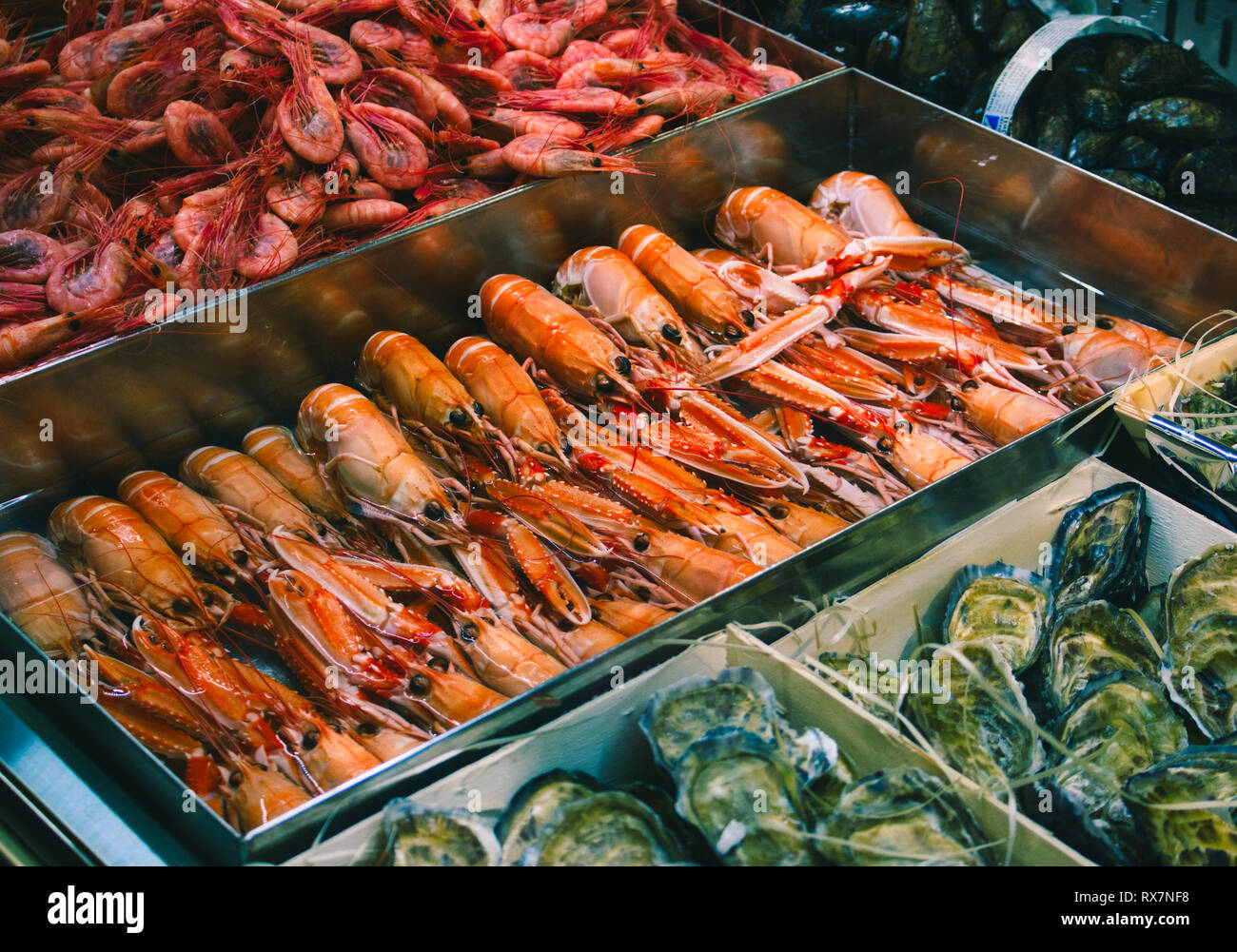 Fresh seafood display supermarket hires stock photography and images