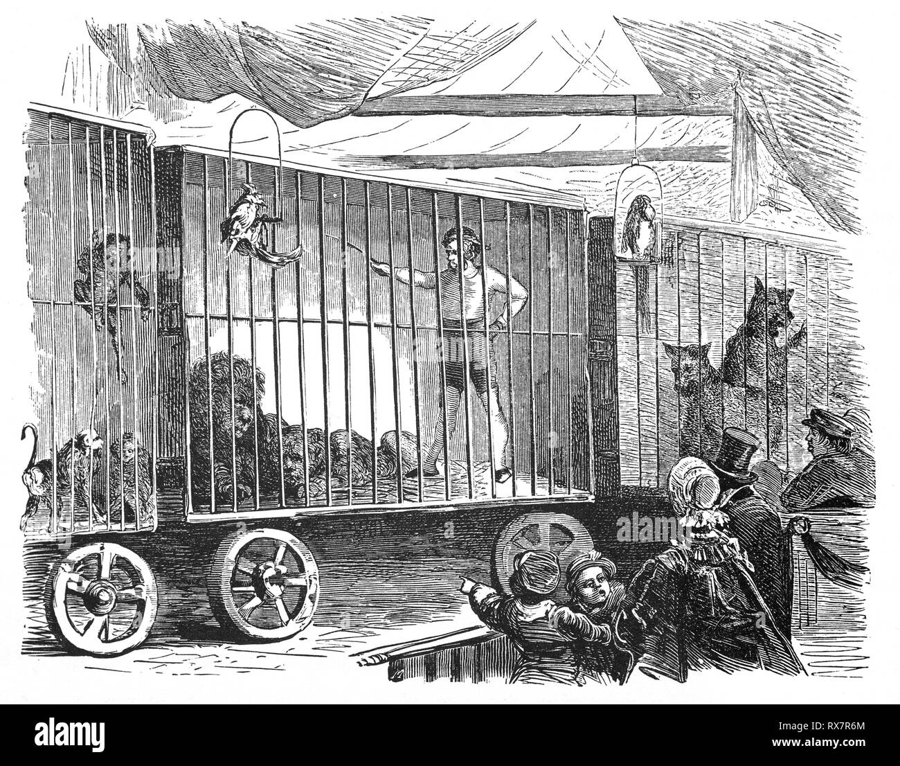 Spectators in front of cages with bears, monkeys, lions and a lion tamer in a circus in Haarlem, the Netherlands. From the 19th Century Camera Obscura, a collection of Dutch humorous-realistic essays, stories and sketches in which Hildebrand, the author, takes an ironic look at the behavior of the 'well-to-do', finding  them bourgeois and without a good word for them. Stock Photo