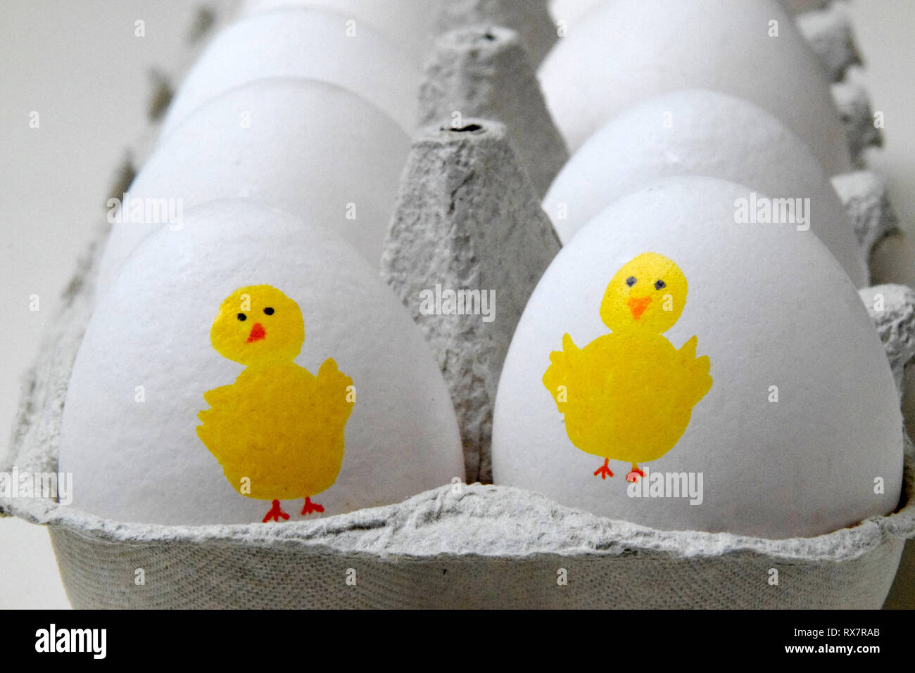 Yellow Easter chicken painted on white eggs at the front of a box of eggs Stock Photo