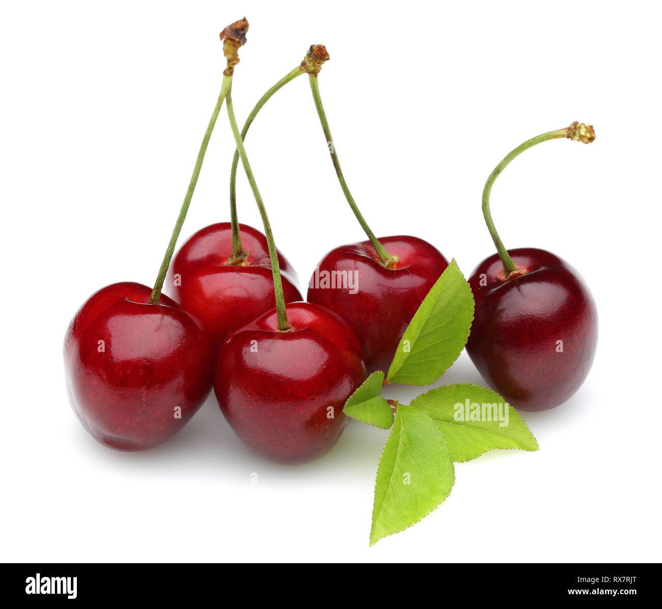 Ripe red cherries with green leaves isolated on white background Stock ...