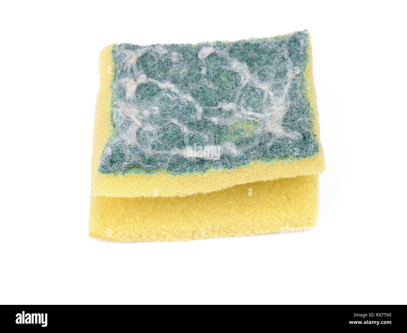Sponge Old Sponge Wash Dish Washing Sponge Absorbent Yellow Sponges  Cleaning Isolated On White Background Yellow Sponge Texture Stock Photo -  Download Image Now - iStock