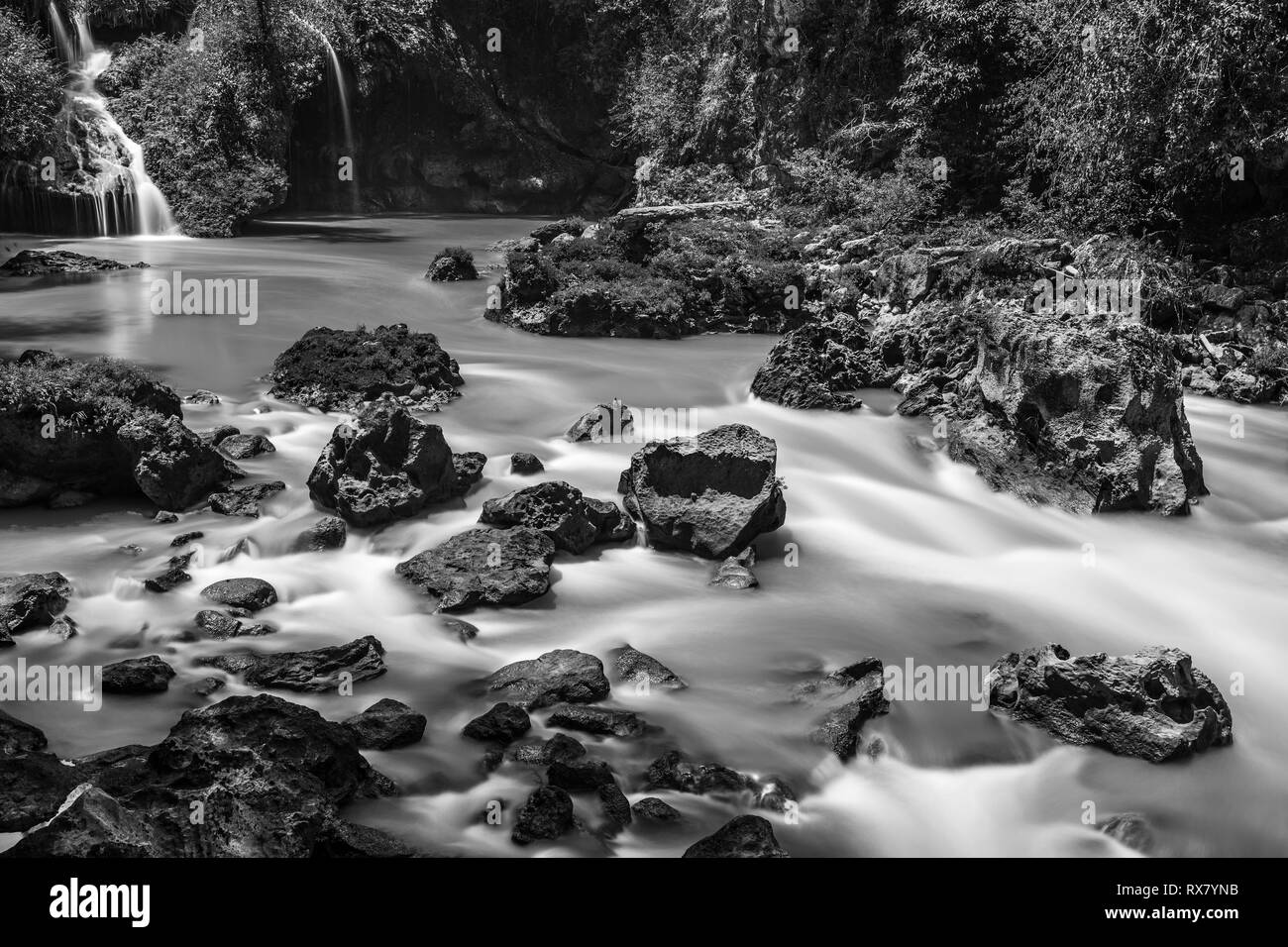 Black and white photograph of the Semuc Champey Cascades in the tropical rainforest of the Peten jungle of Guatemala, Central America. Stock Photo