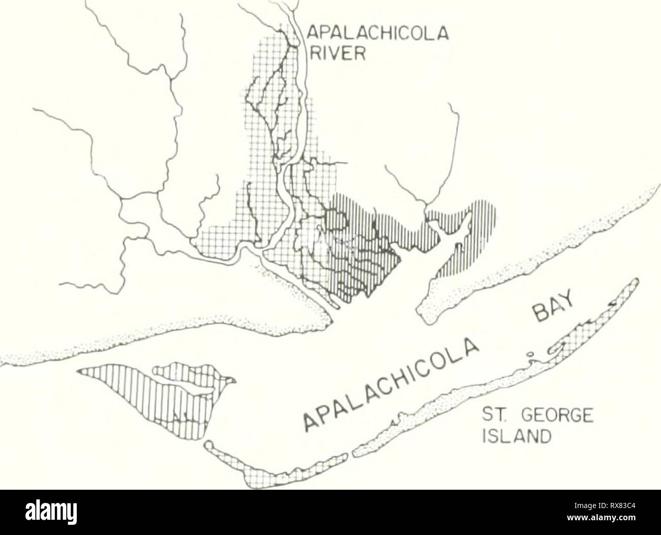 The ecology of the Apalachicola Stock Photo Alamy