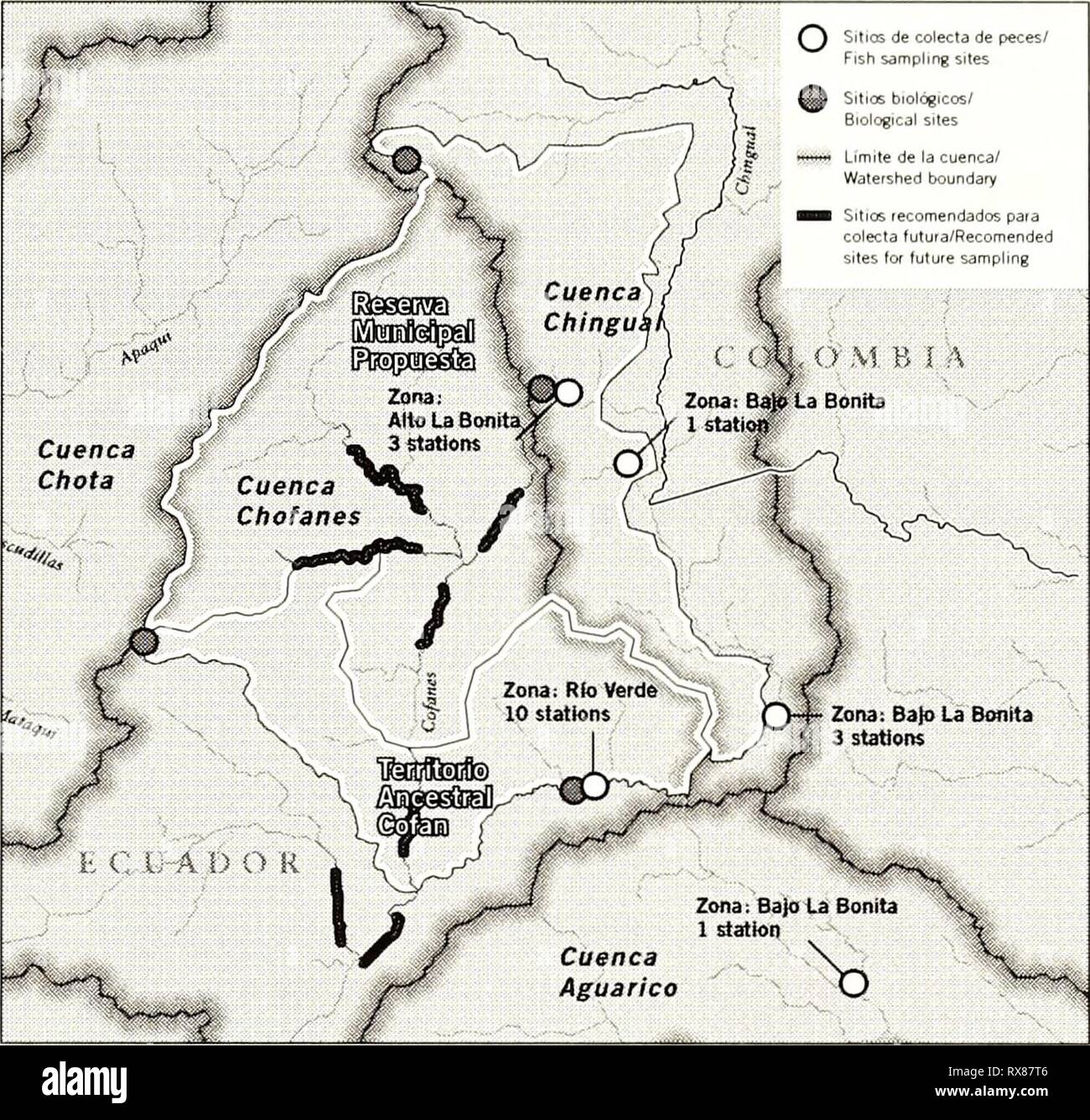 Ecuador  Cabeceras Cofanes-Chingual (2009) Ecuador : Cabeceras Cofanes-Chingual ecuadorcabecera212009vrie Year: 2009  which three were new registries for the hydrographic zone of the Colombian Amazon (Ortega-Lara 2005). A lack of information marks Ecuador's case as well; some inventories have been made in the Andean-Amazonian piedmont of the Pastaza River basin (Willink et al. 2005; Anderson et al., unpublished data), yet a portion of the information remains unpublished. The principal goal of this study was to document the ichthyofauna present in the Cofanes-Chingual- Aguarico basin in order t Stock Photo