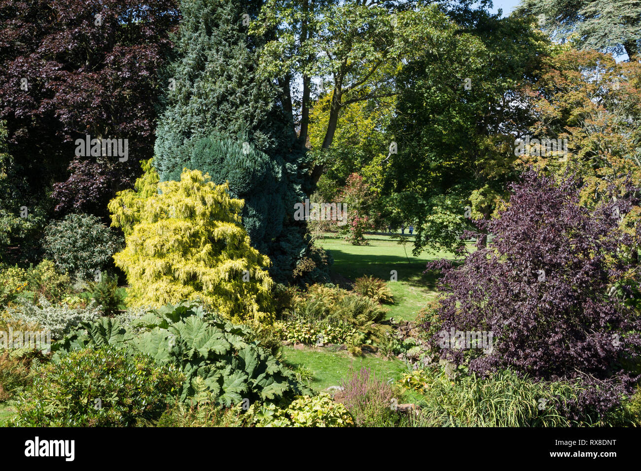 Sandringham House Gardens and 20,000 acre Estate, private home of HM Queen Elizabeth II in Sandringham  Norfolk .England Stock Photo
