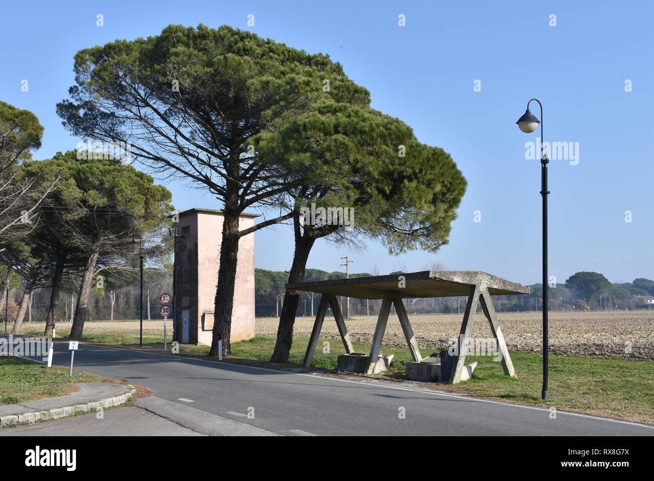 Belvedere, Grado, Udine, Triest, Italien, Adria, Haltestelle, Bushaltestelle, Bank, Beton, Betondach, Pinie, Baum, Feld, abgelegen, Nahverkehr, Stock Photo