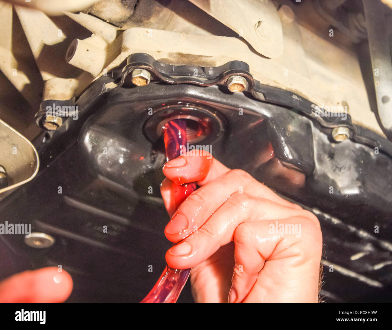 Oil change in automatic transmission. Filling the oil through the hose. Car maintenance station. Red gear oil. The hands of the car mechanic in oil. Stock Photo