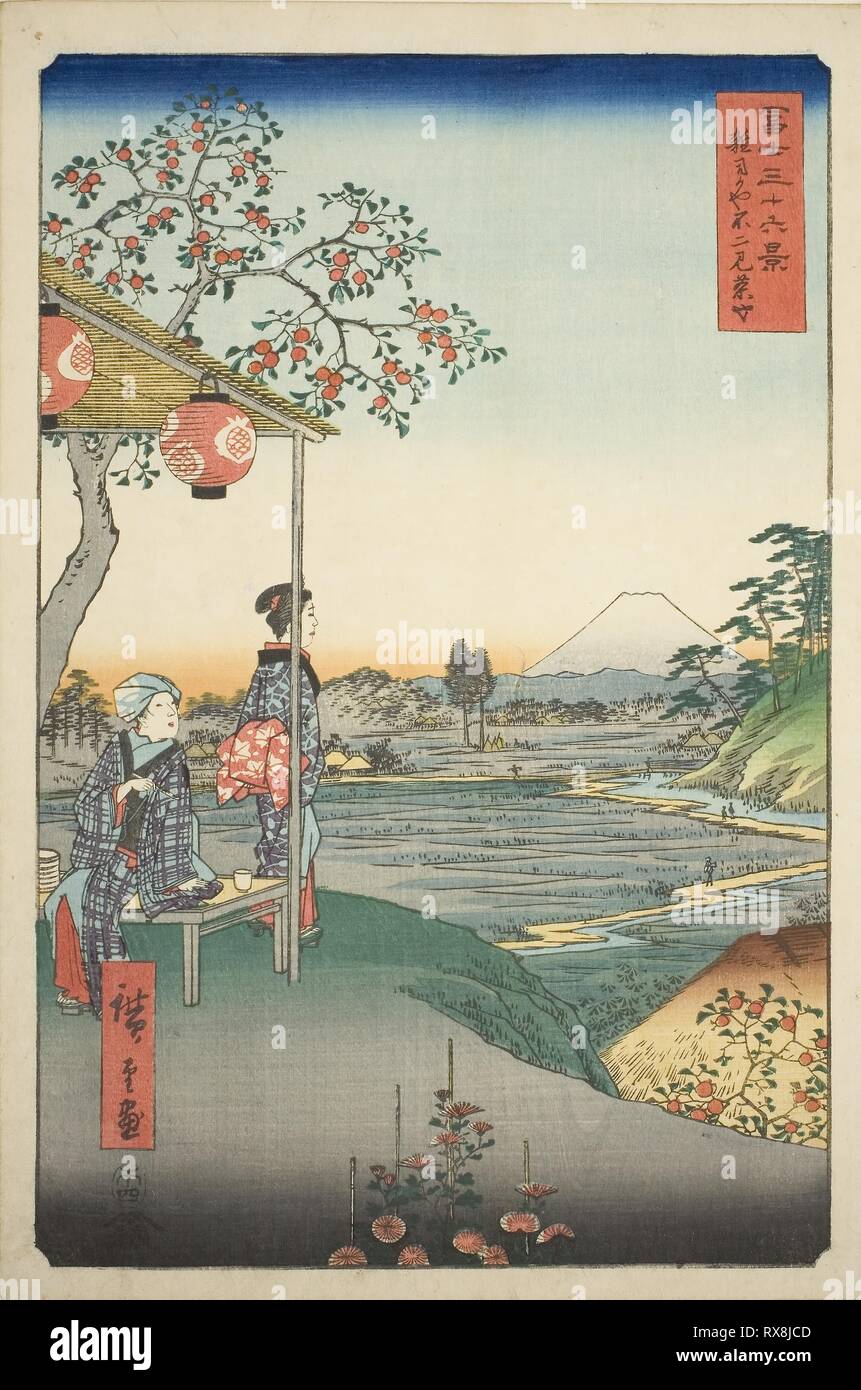 桜並木の堤防と小川 (透明水彩風景画) Row of cherry trees