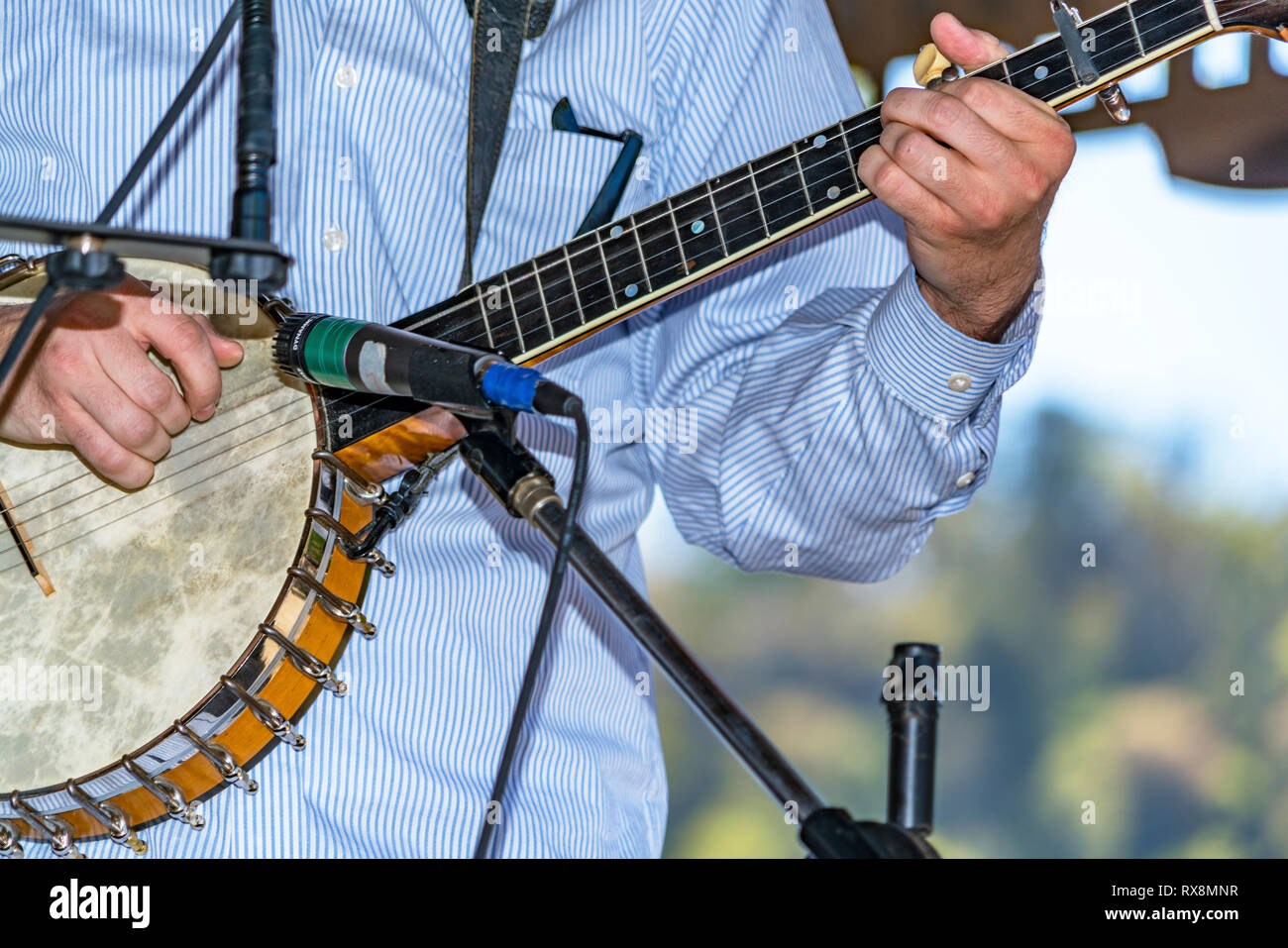 Banjo Pickin' Stock Photo