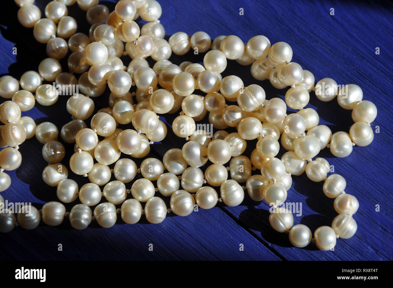 Simple designed beads of cultured Thai cream sea pearls on the blue wooden  background, selective focus Stock Photo - Alamy