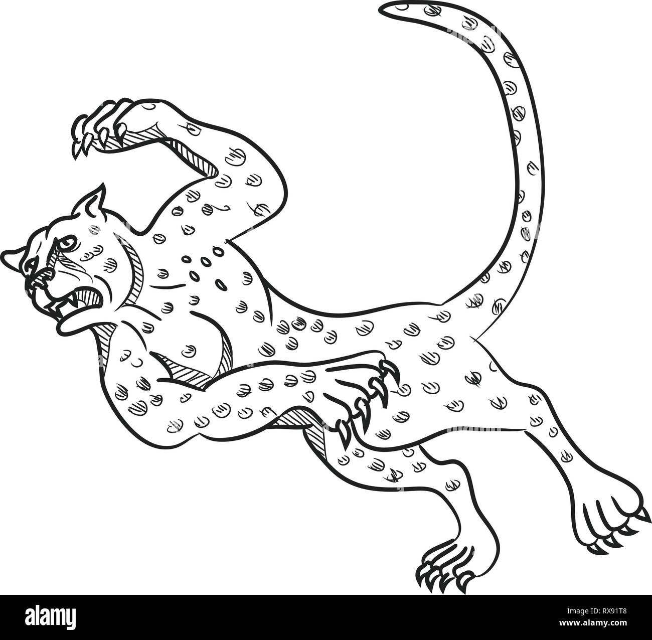 Cartoon style illustration of a cheetah running, tripping and then falling down done in black and white on isolated background. Stock Vector