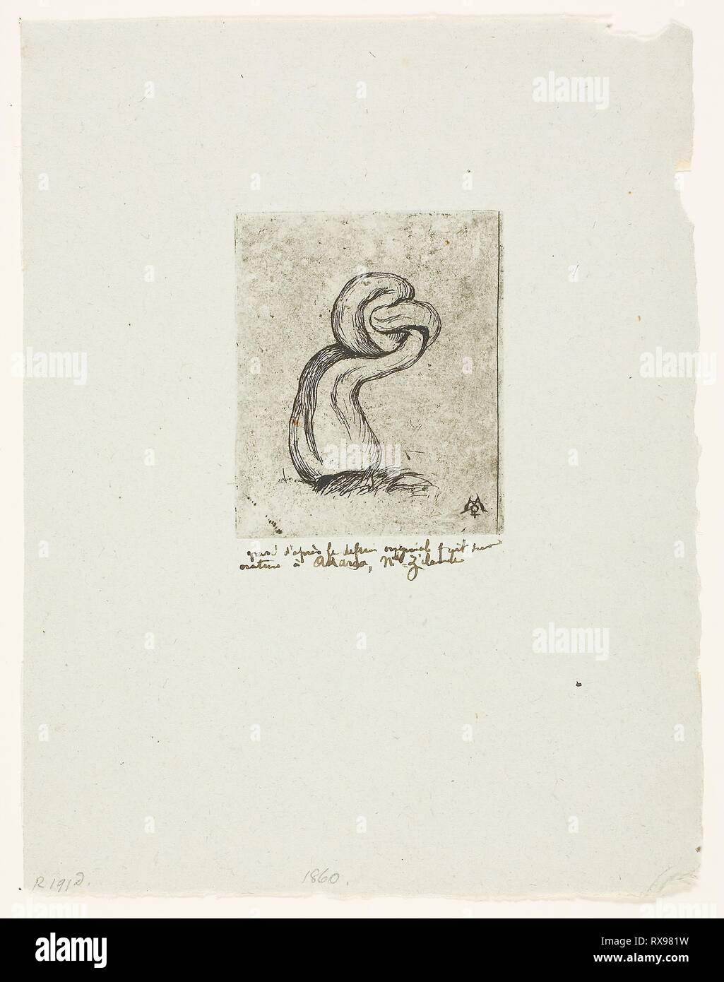 The Sickly Cryptogam. Charles Meryon; French, 1821-1868. Date: 1860. Dimensions: 71 × 59 mm (image); 71 × 59 mm (plate); 193 × 151 mm (sheet). Etching with plate tone on blue-green laid paper with violet and red fibres. Origin: France. Museum: The Chicago Art Institute. Stock Photo