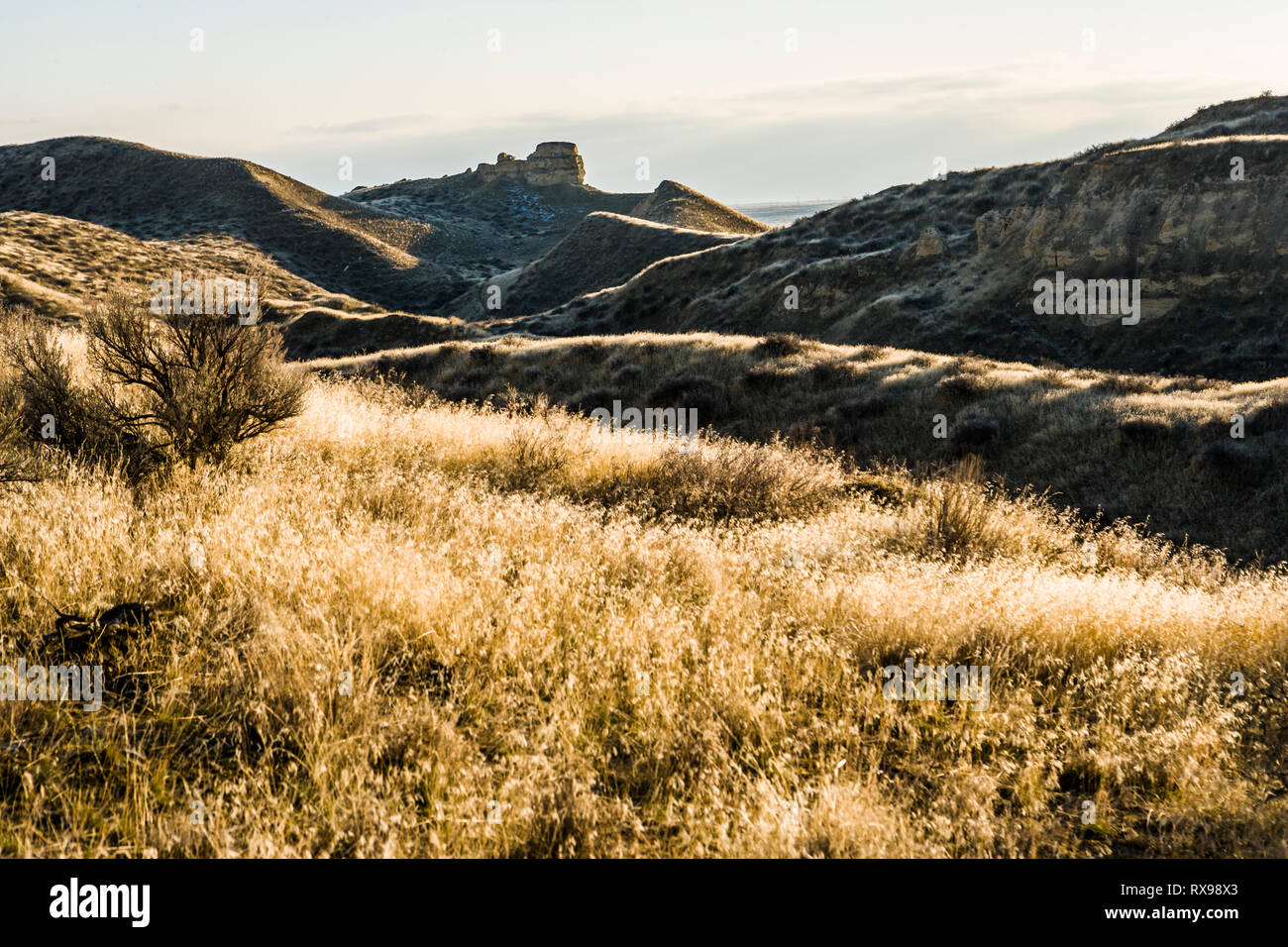 A Landscape image made in Eastern Washington near Hanford Reach, USA along the Columbia River. Stock Photo