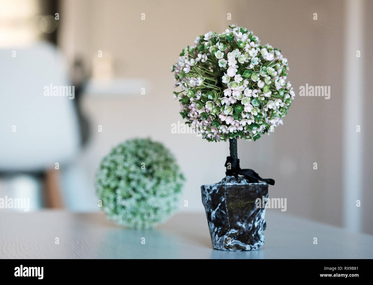 Home decoration artificial flowers in black pot green pink colours round shape close up indoors, no people, selective focus. Detail for cozy and comfo Stock Photo