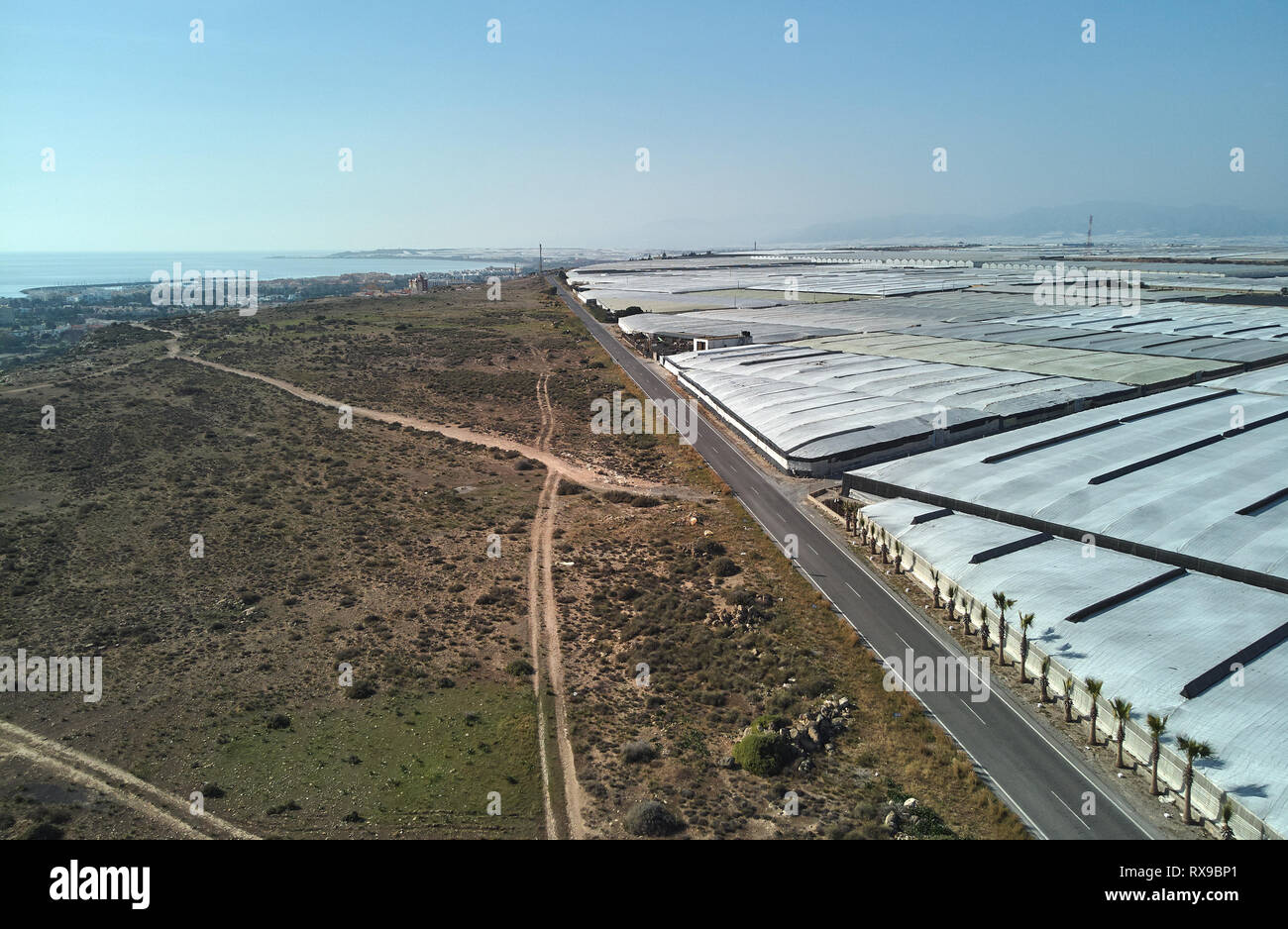 Lot of polythene plastic exterior green houses where produce tomatoes, peppers, cucumbers and zucchinis, along the empty road highway in the Almerimar Stock Photo