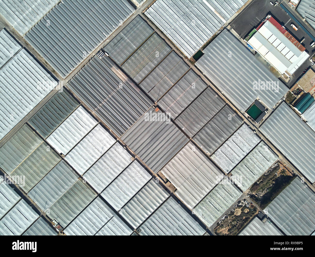 Directly from above full frame polythene plastic green houses or hothouses rooftops where cultivated fruits and vegetables in the Almerimar, province  Stock Photo
