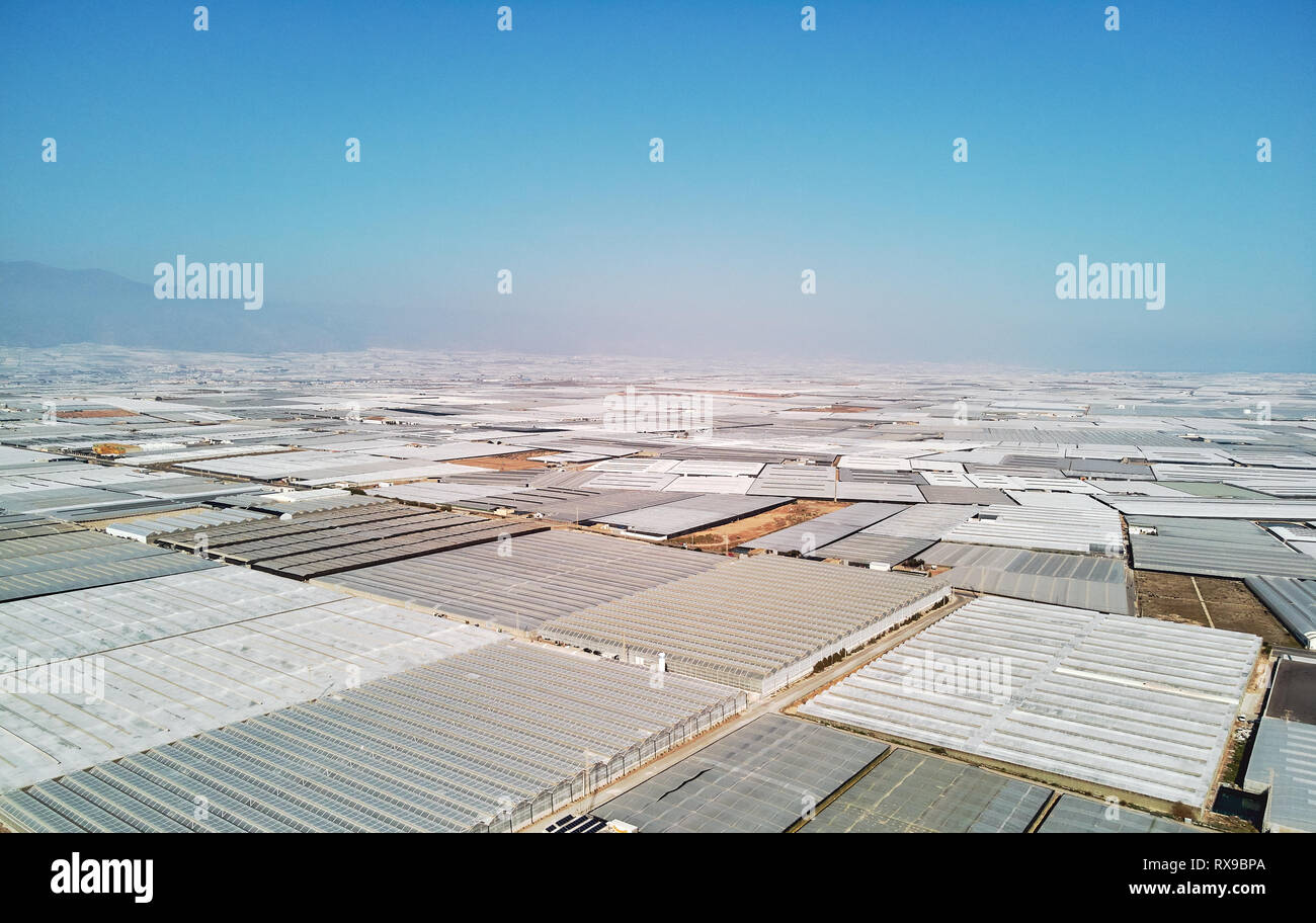 Aerial above drone point of view lot amount polythene plastic exterior greenhouses hothouses where cultivated fruits and vegetables in the Almerimar,  Stock Photo