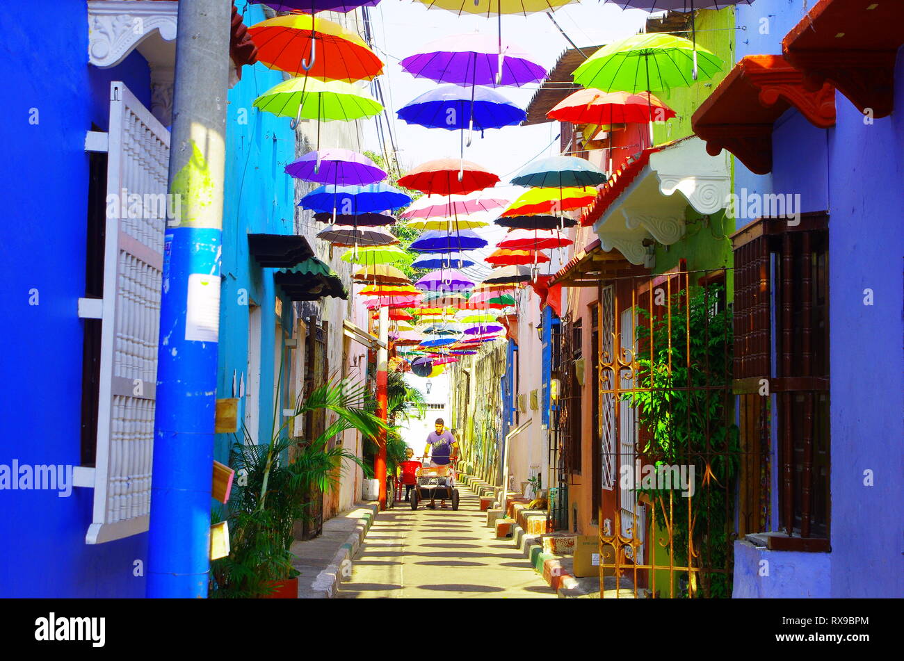 umbrella street in cartagena colombia Stock Photo Alamy
