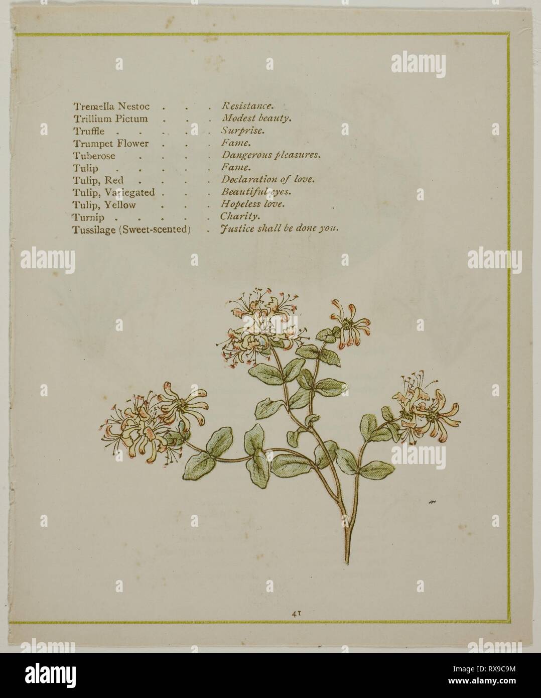 Valerian Through Volkamenia, from The Illuminated Language of Flowers. probably Edmund Evans (English, 1826-1905); after Kate Greenaway (English, 1846-1901); printed by Edmund Evans. Date: 1884. Dimensions: . Color wood engraving (chromoxylograph) reproduction of a watercolor on paper. Origin: England. Museum: The Chicago Art Institute. Stock Photo
