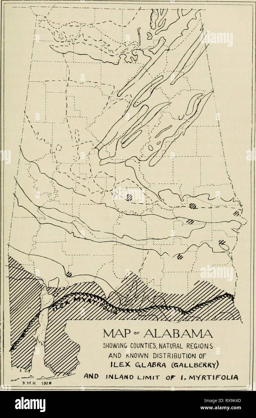 Economic botany of Alabama (1913-1928) Economic botany of Alabama economicbotanyof12harp Year: 1913-1928.  AQUIFOLIACEAE 245   Map 21. Approximate distribution of Ilex glabra and inland limit of Ilex myrtifolia. Stock Photo